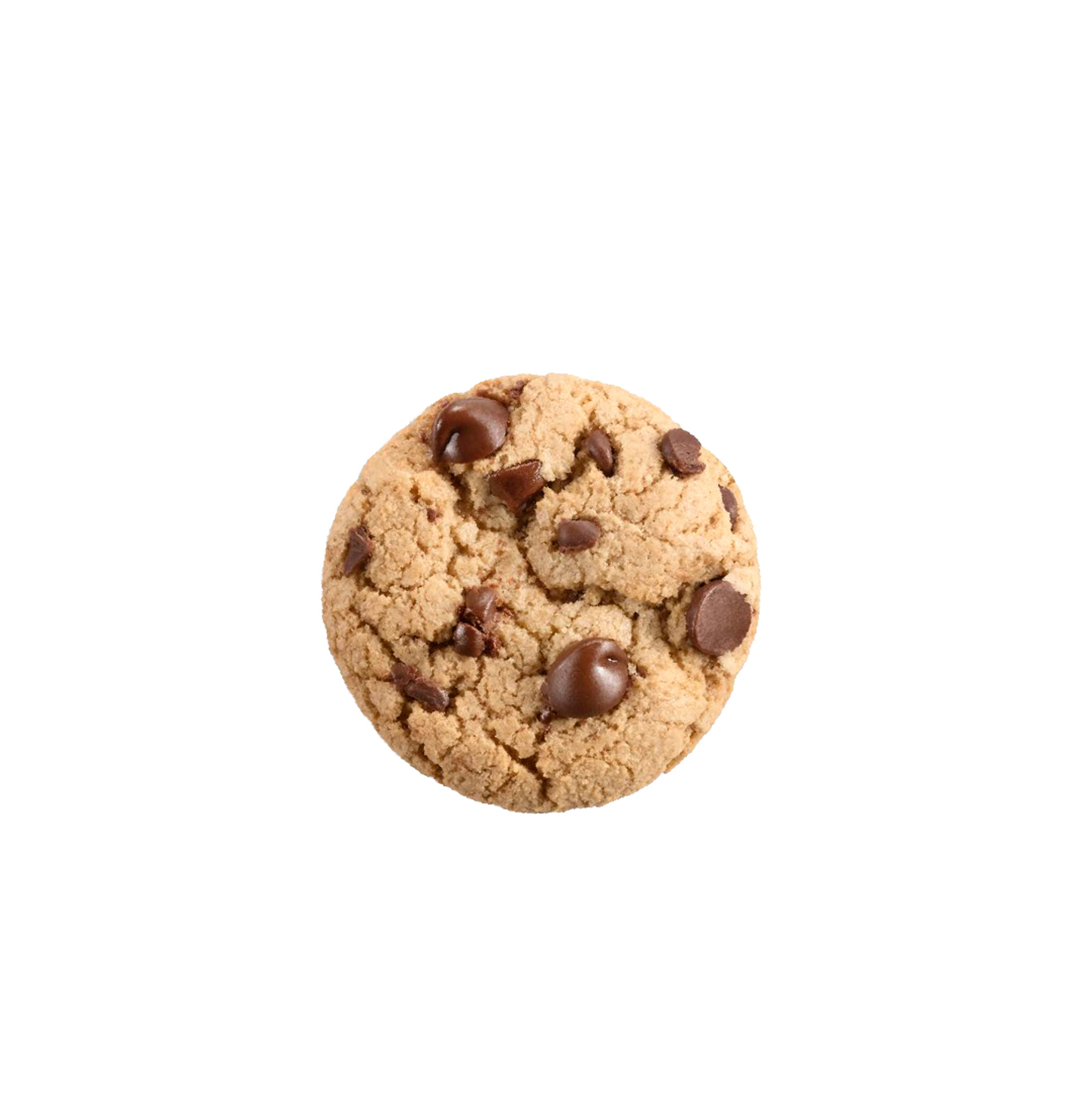 Chocolate Cookie
