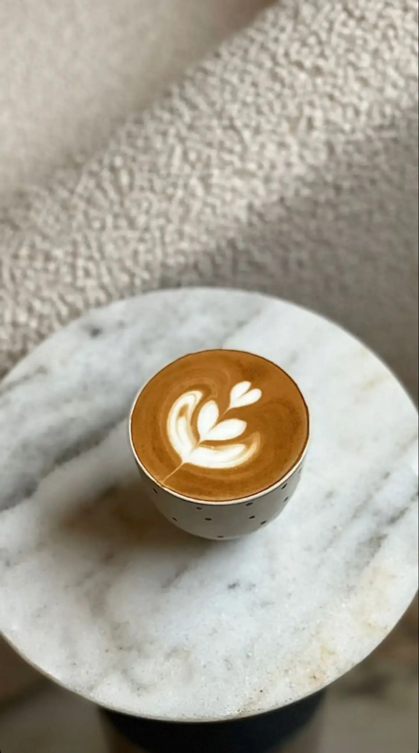 Mocha