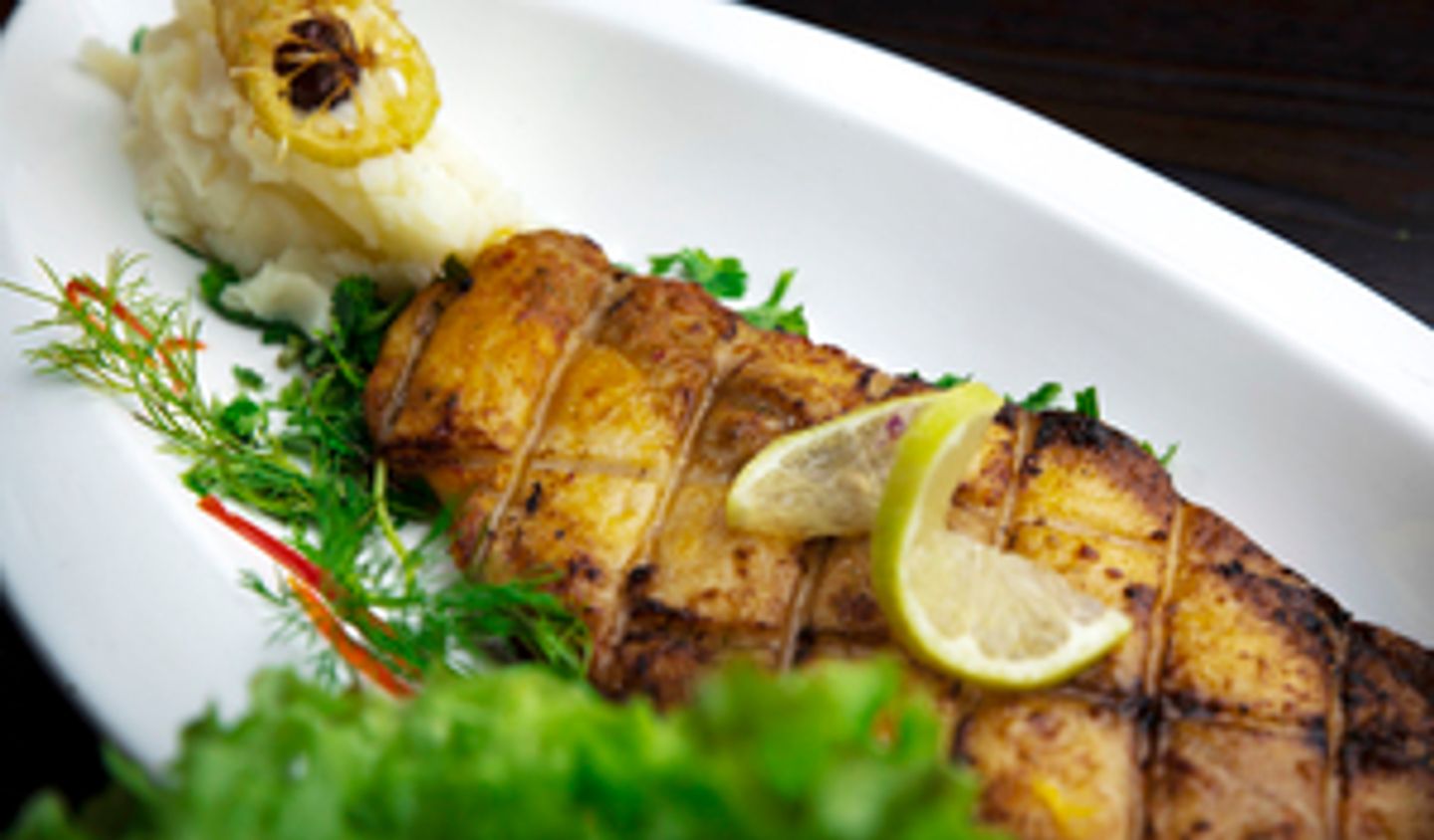 Grilled Hammour Fillet