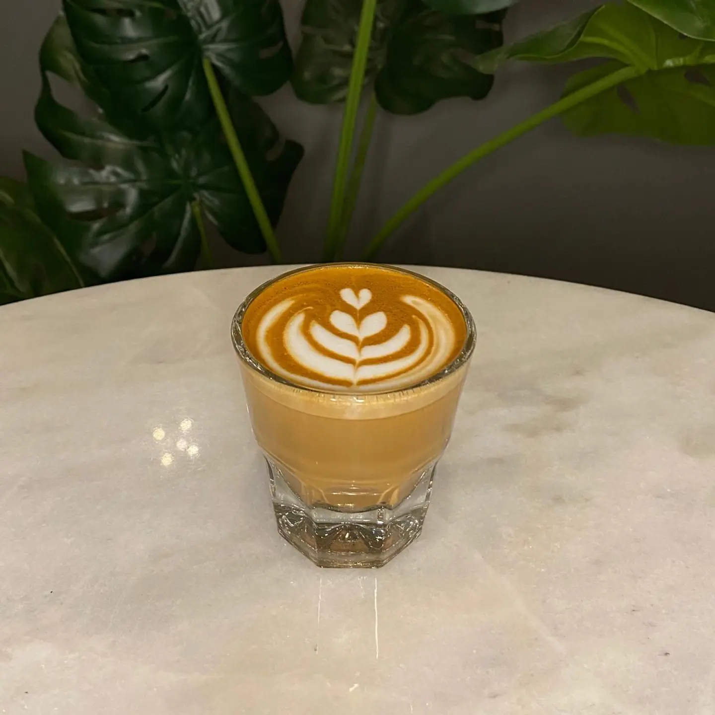 Hot Cortado