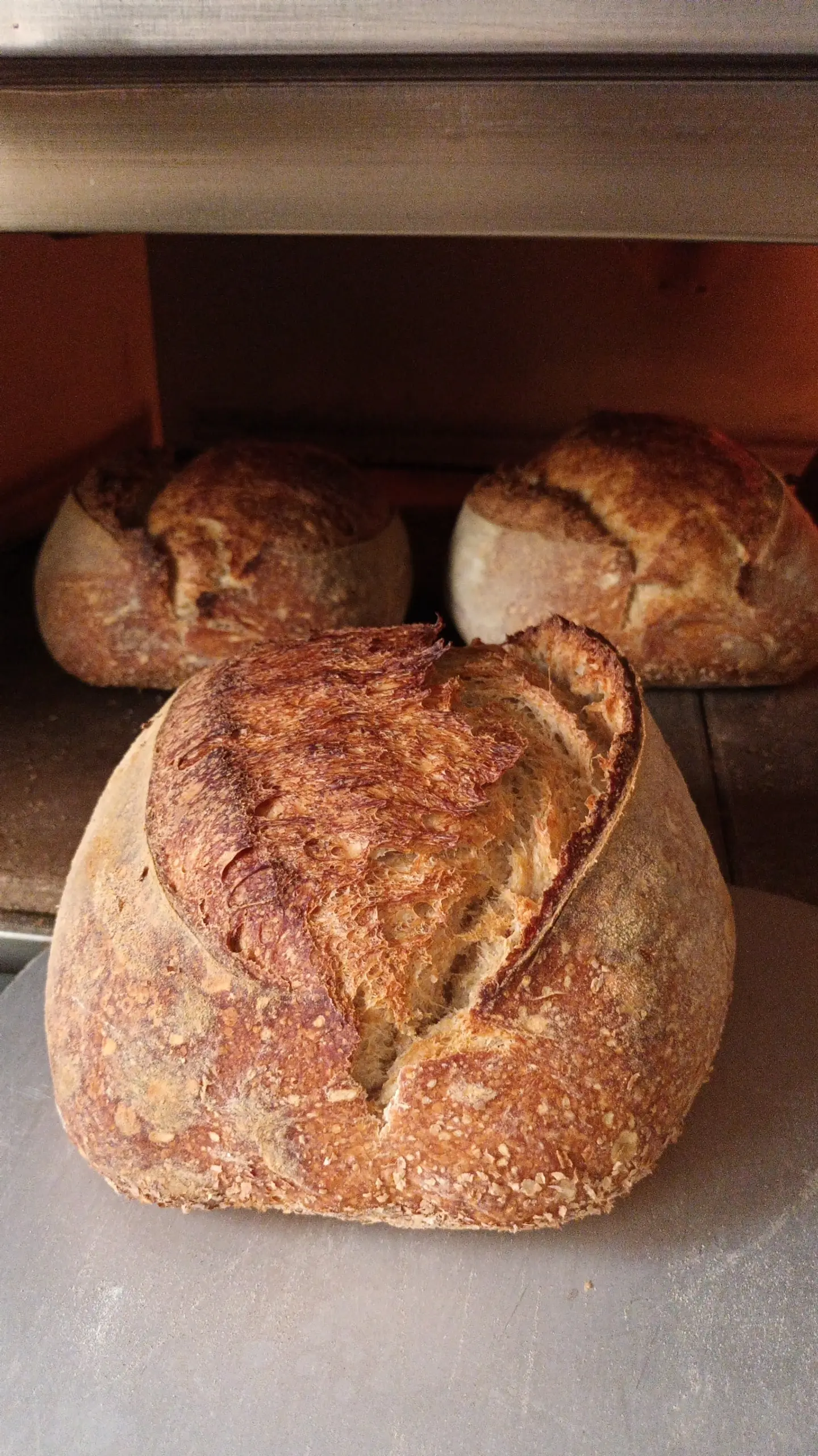 Plain Sourdough