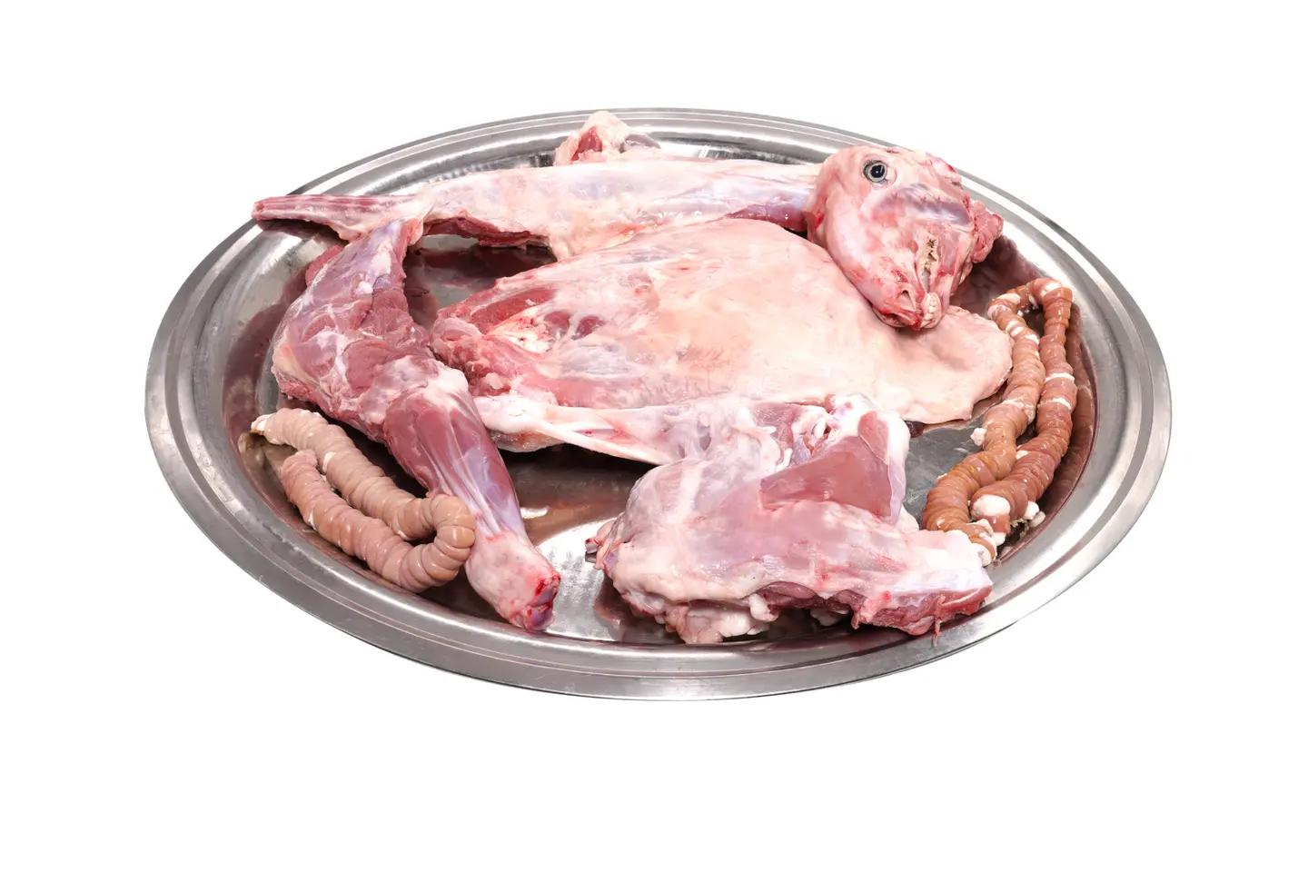 نص تيس ني لباني