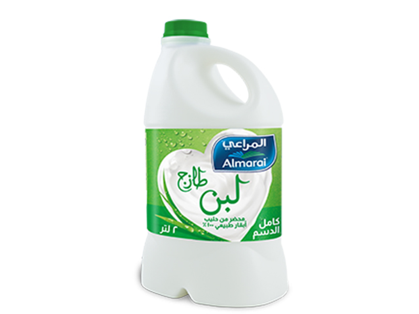 لبن كبير