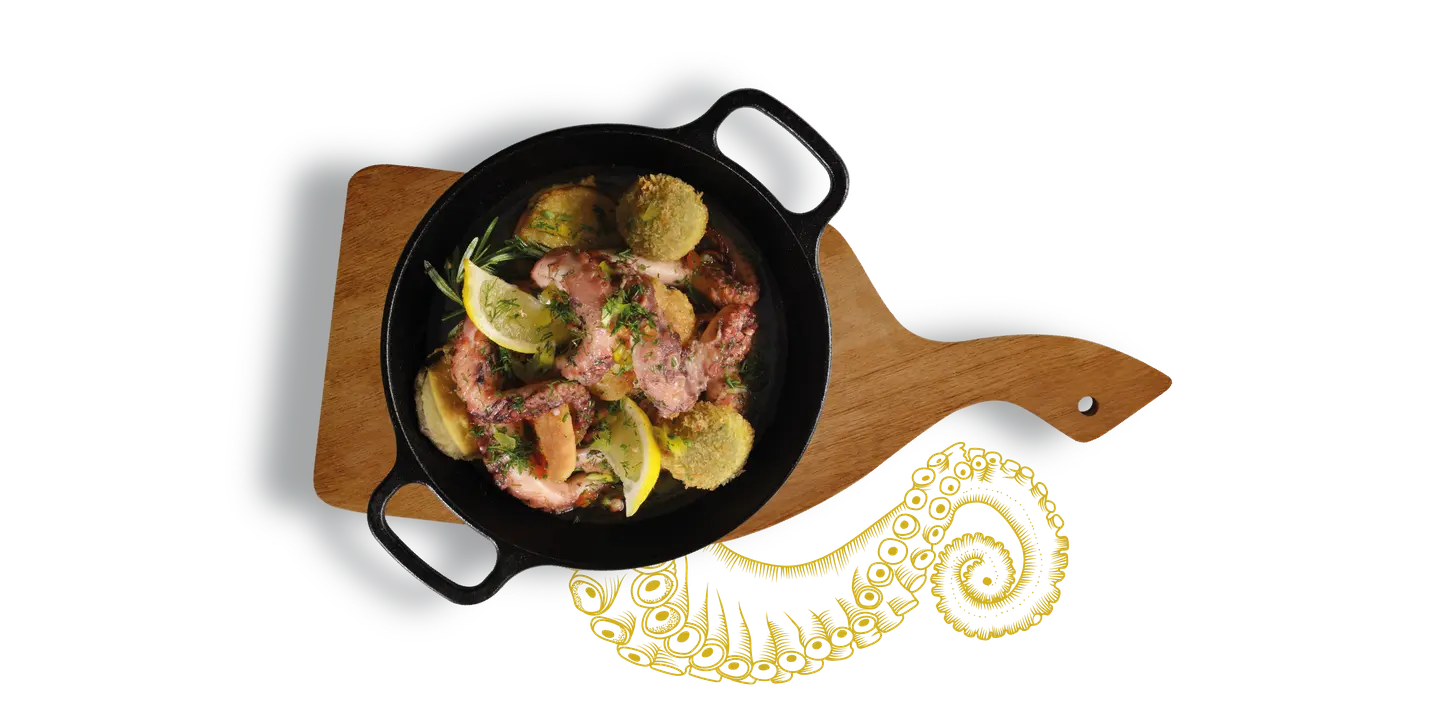 Octopus Galicia
