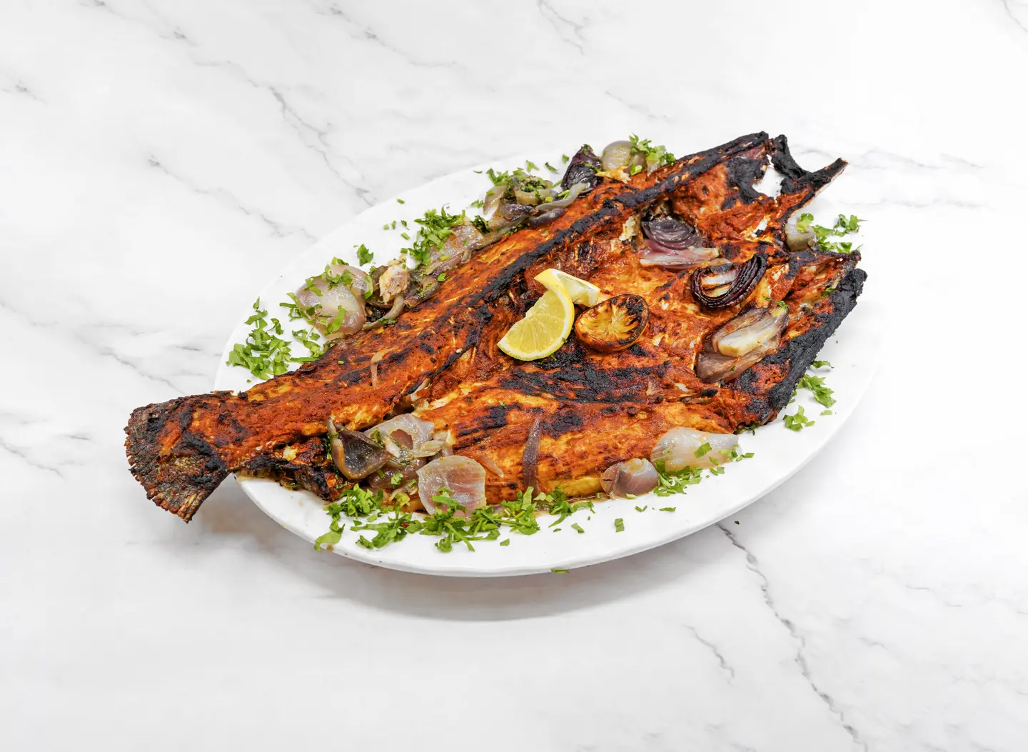 Barramundi Fish