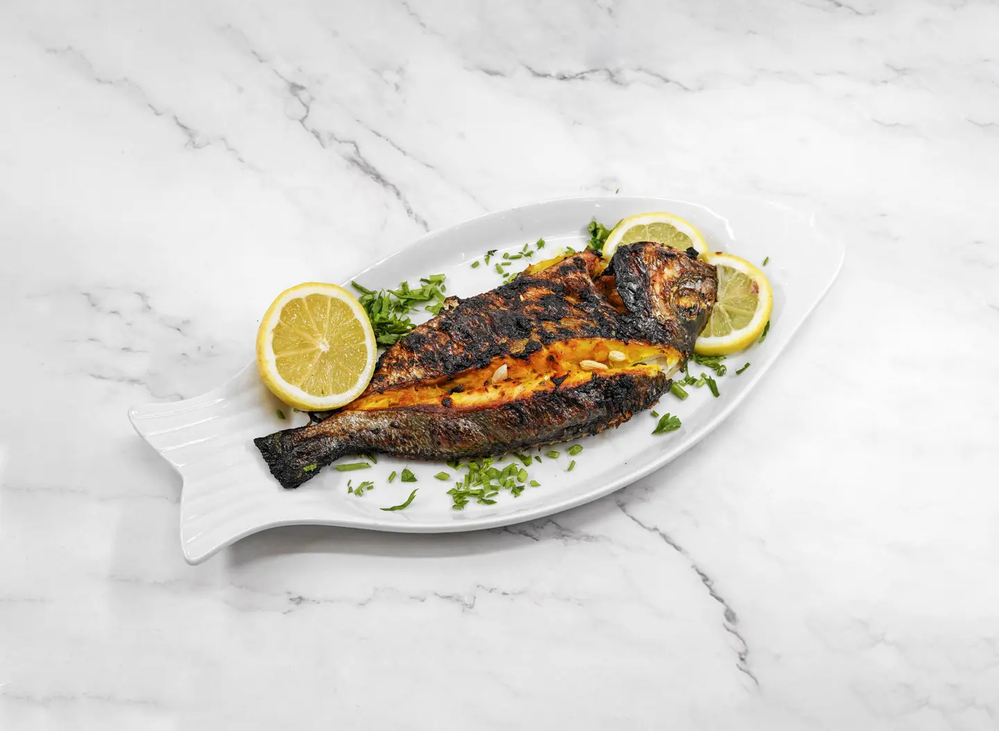 Sea Bream Fish