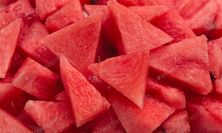 قطع الجح - كبير