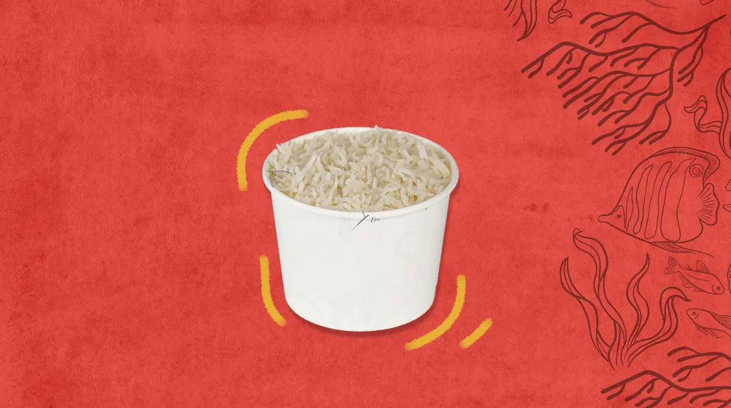 Rice