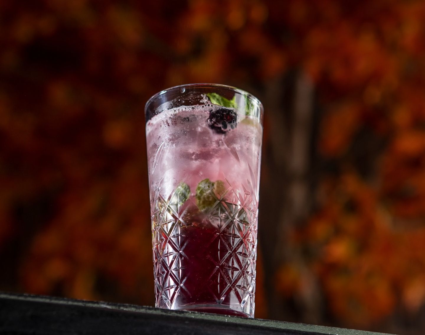 Blackberry Mojito