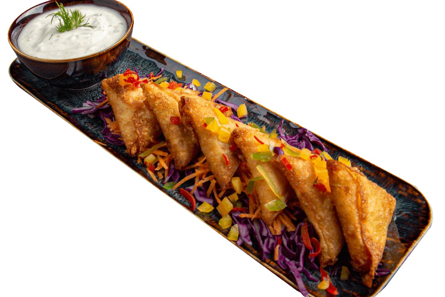 Meat Samosa
