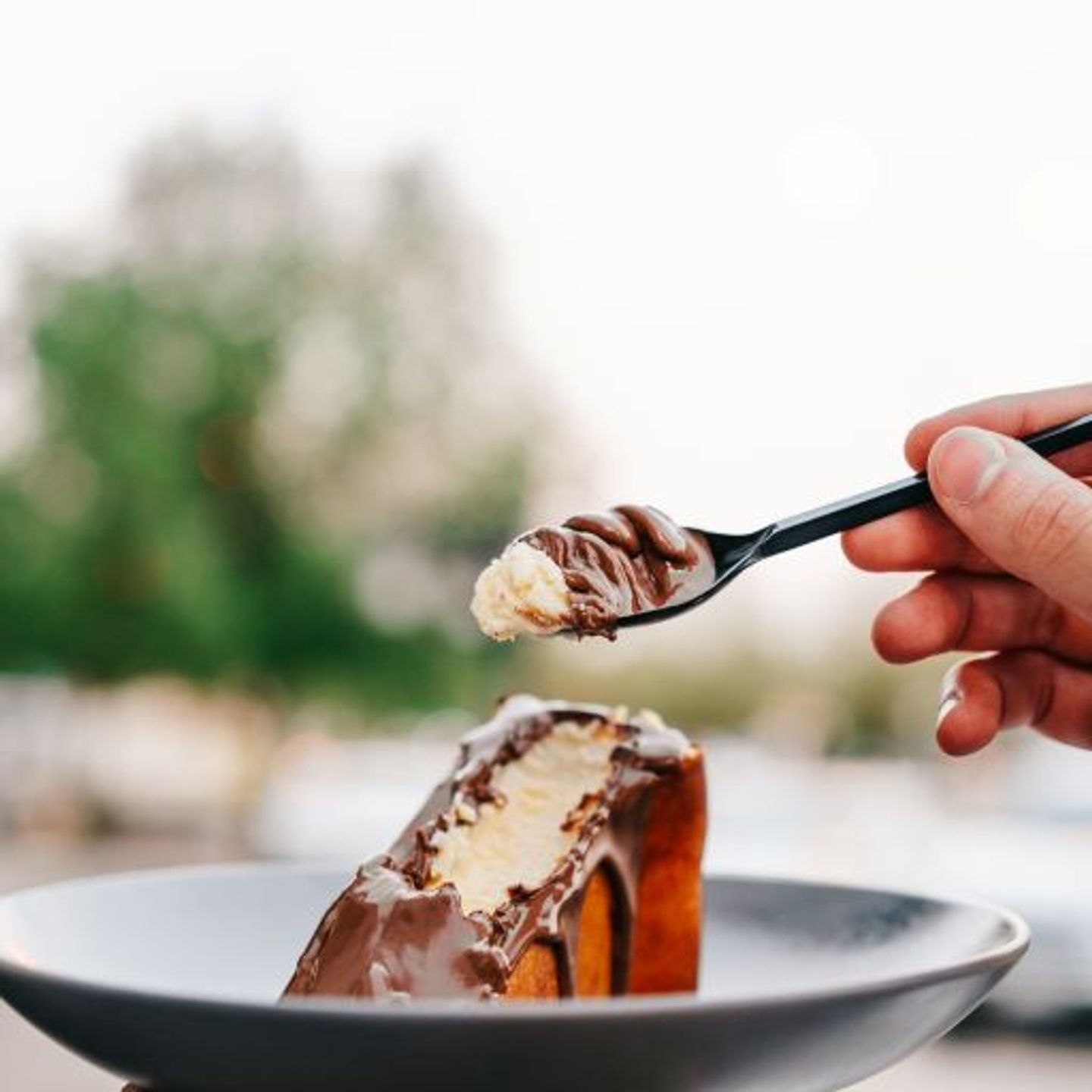San Sebastian Cake
