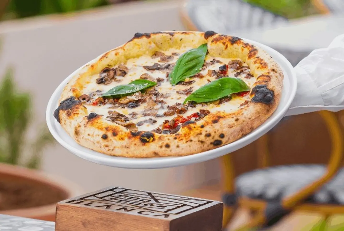 Truffle Pizza