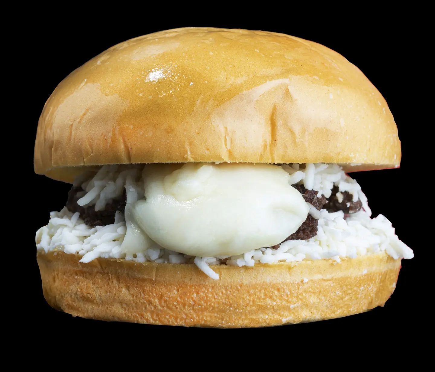 Mozzarella Burger Sandwich
