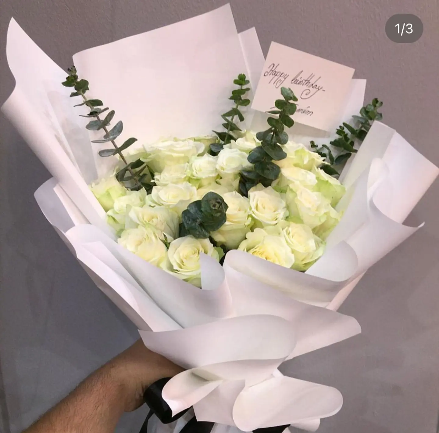 جوري ابيض