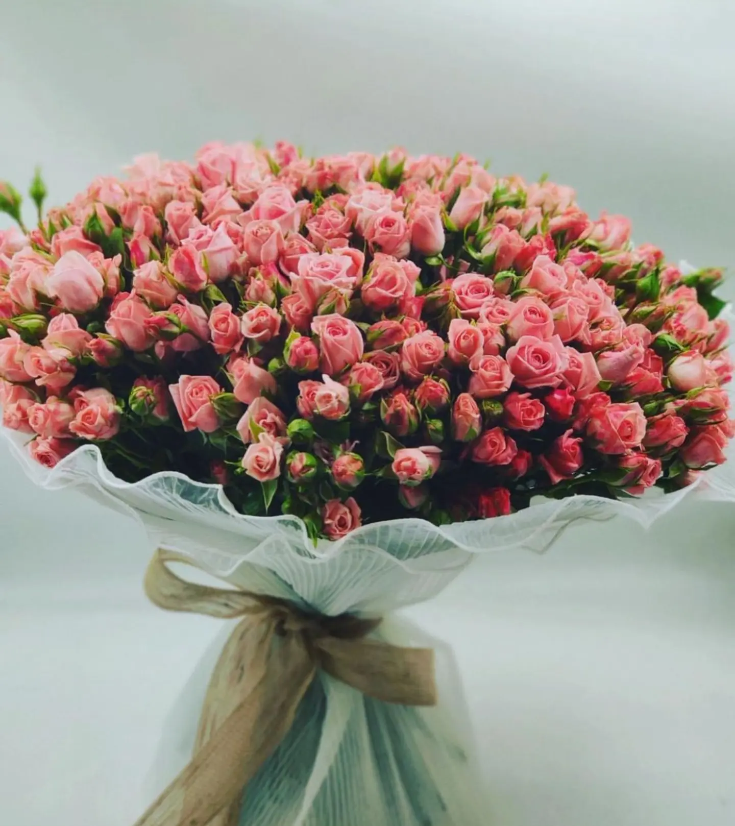 باقة بيبي روز كبيرة