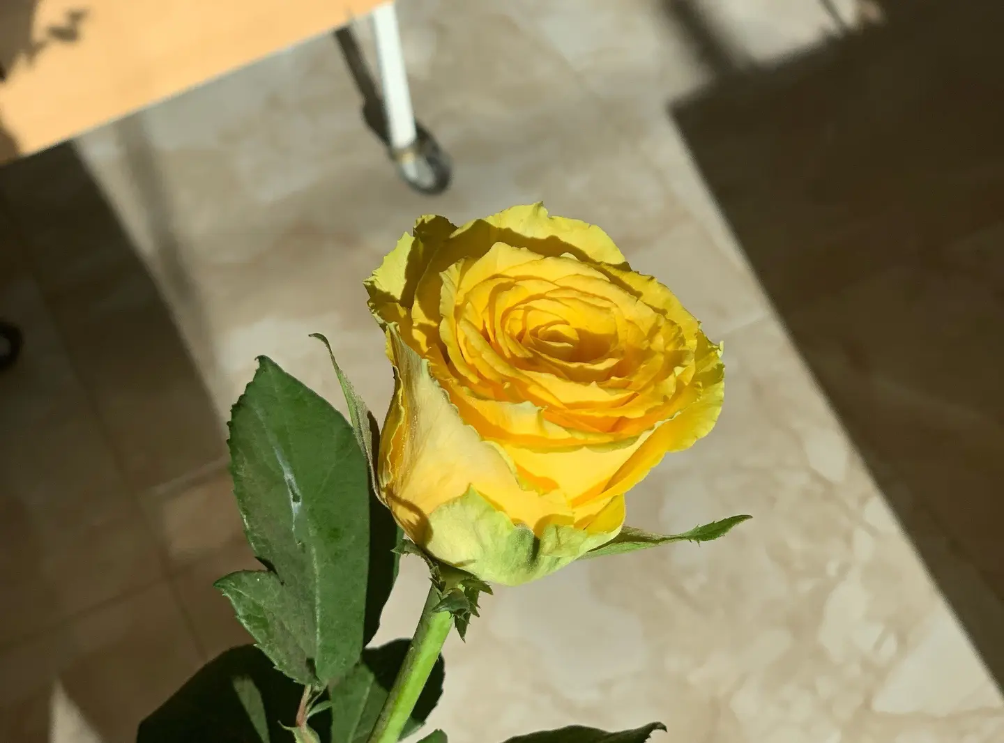 روز اصفر