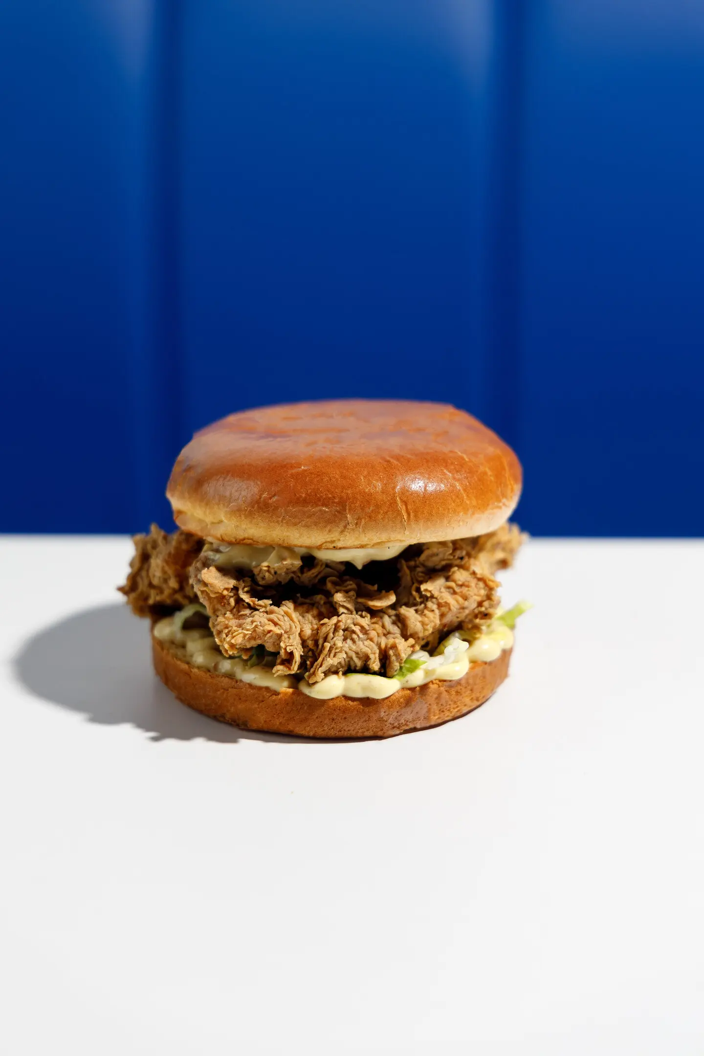 Crispy Chicken Burger