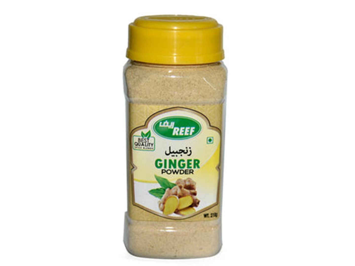 Ginger "Reef"