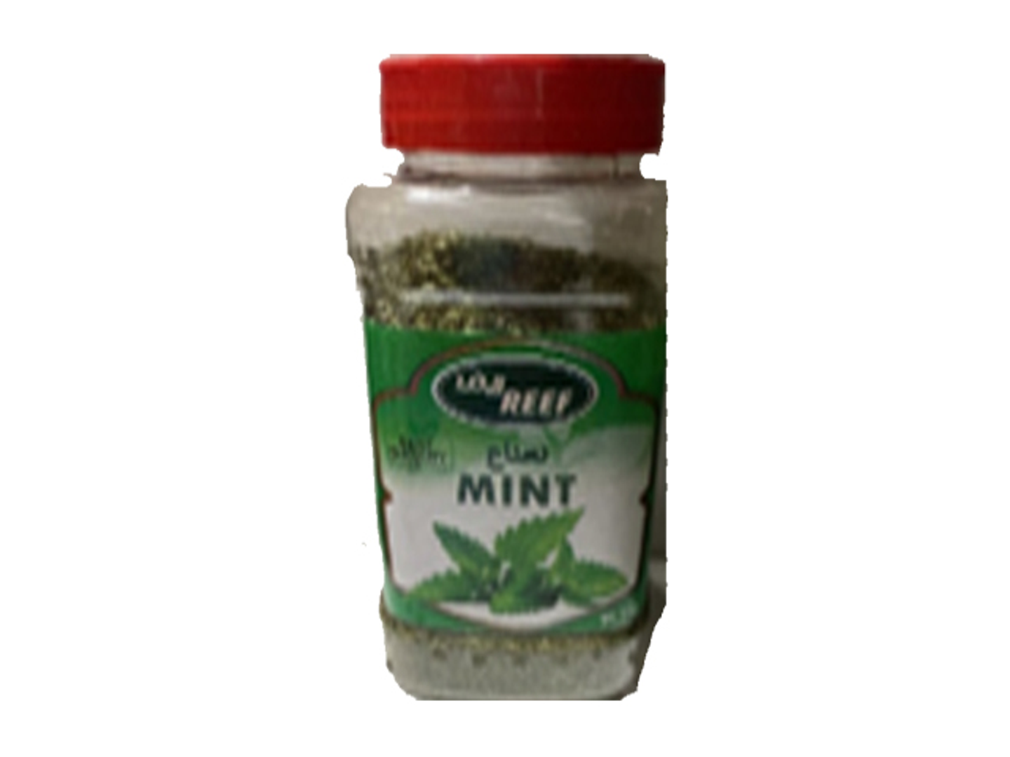 Mint "Reef"