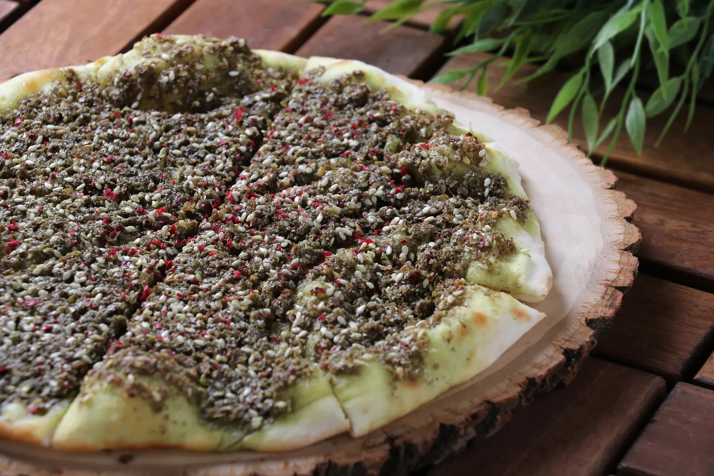 زعتر