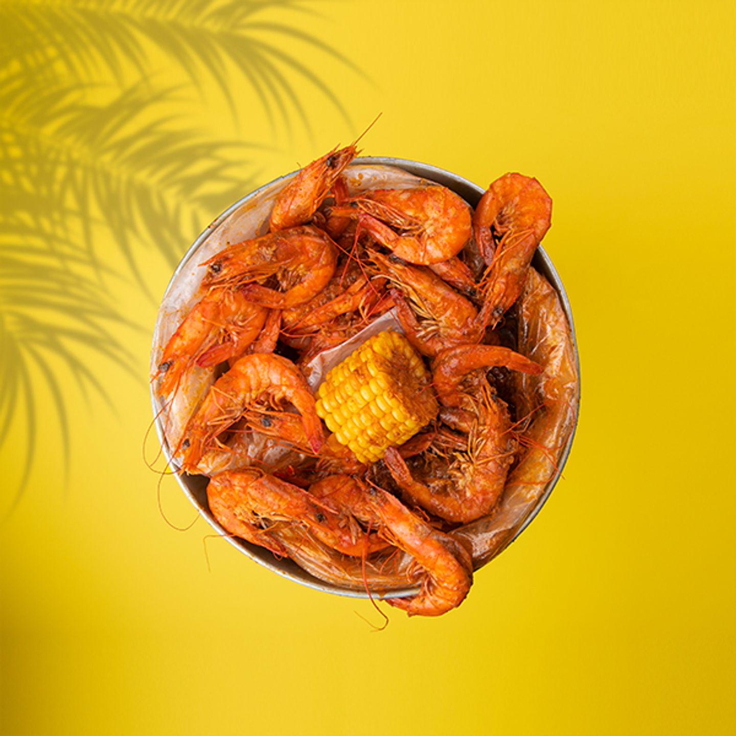 Shrimp