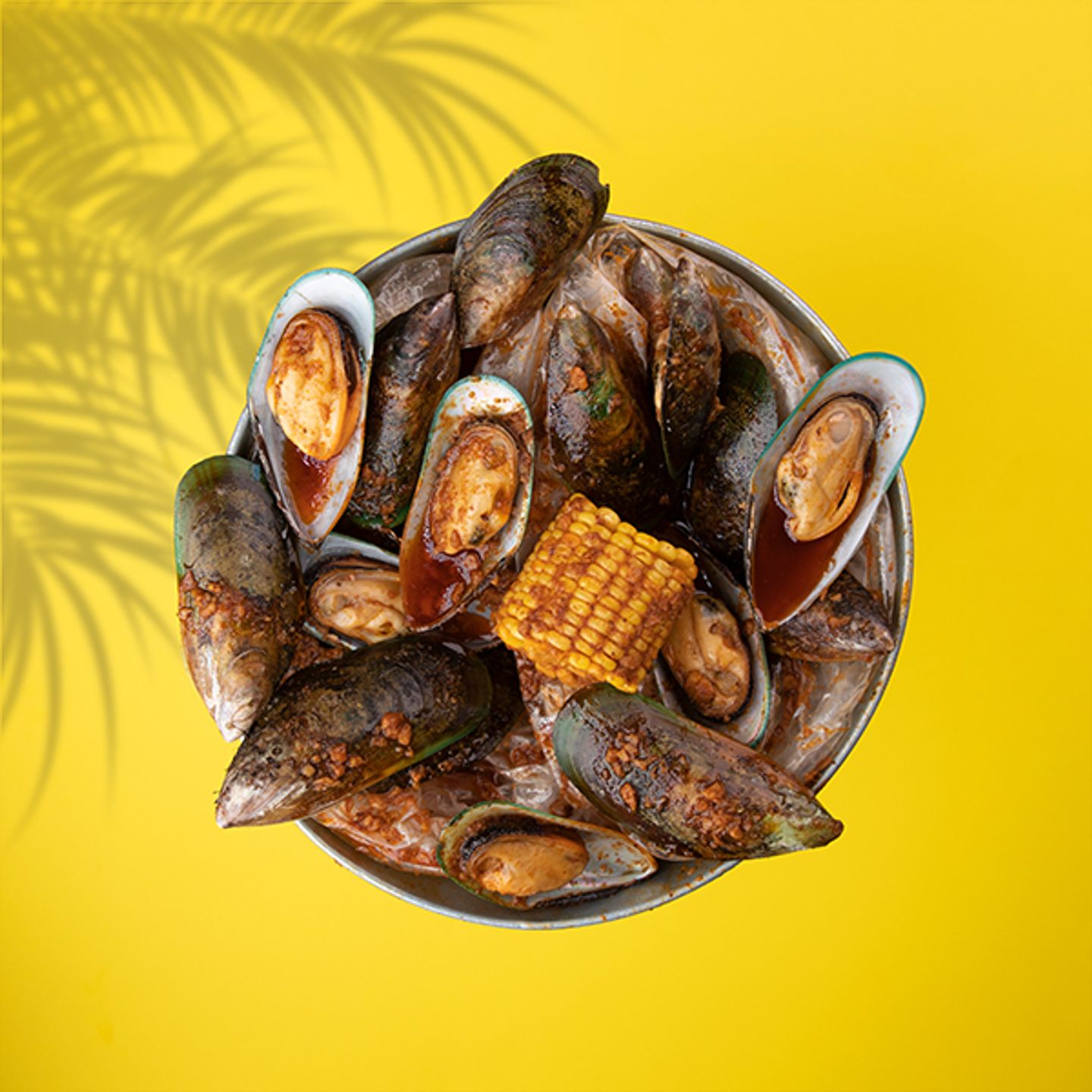 Mussels