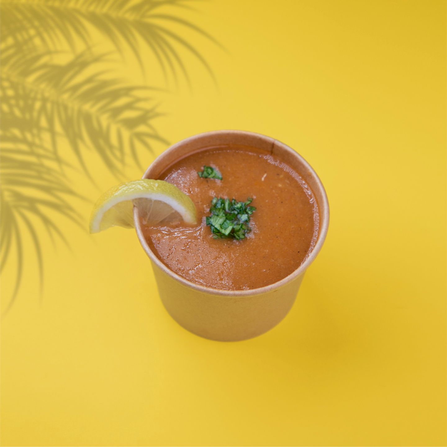 Two Dome Soup