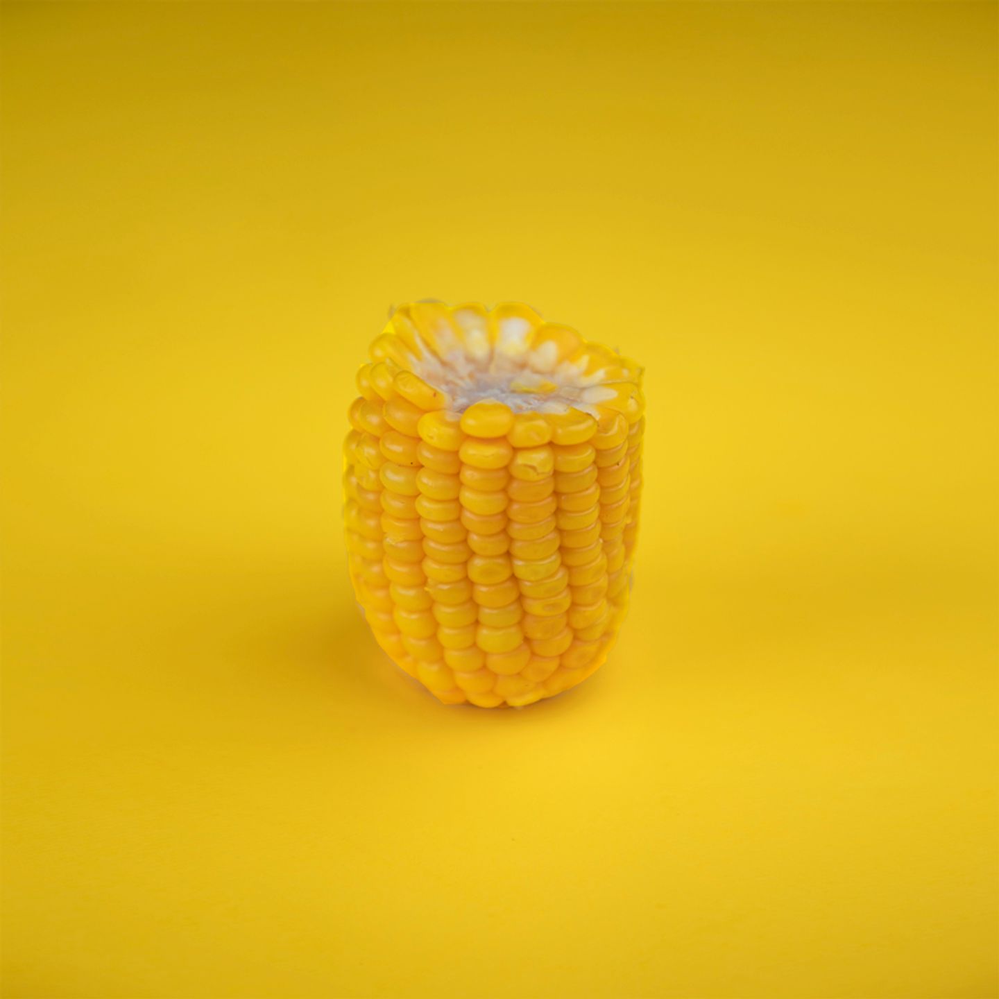 Corn
