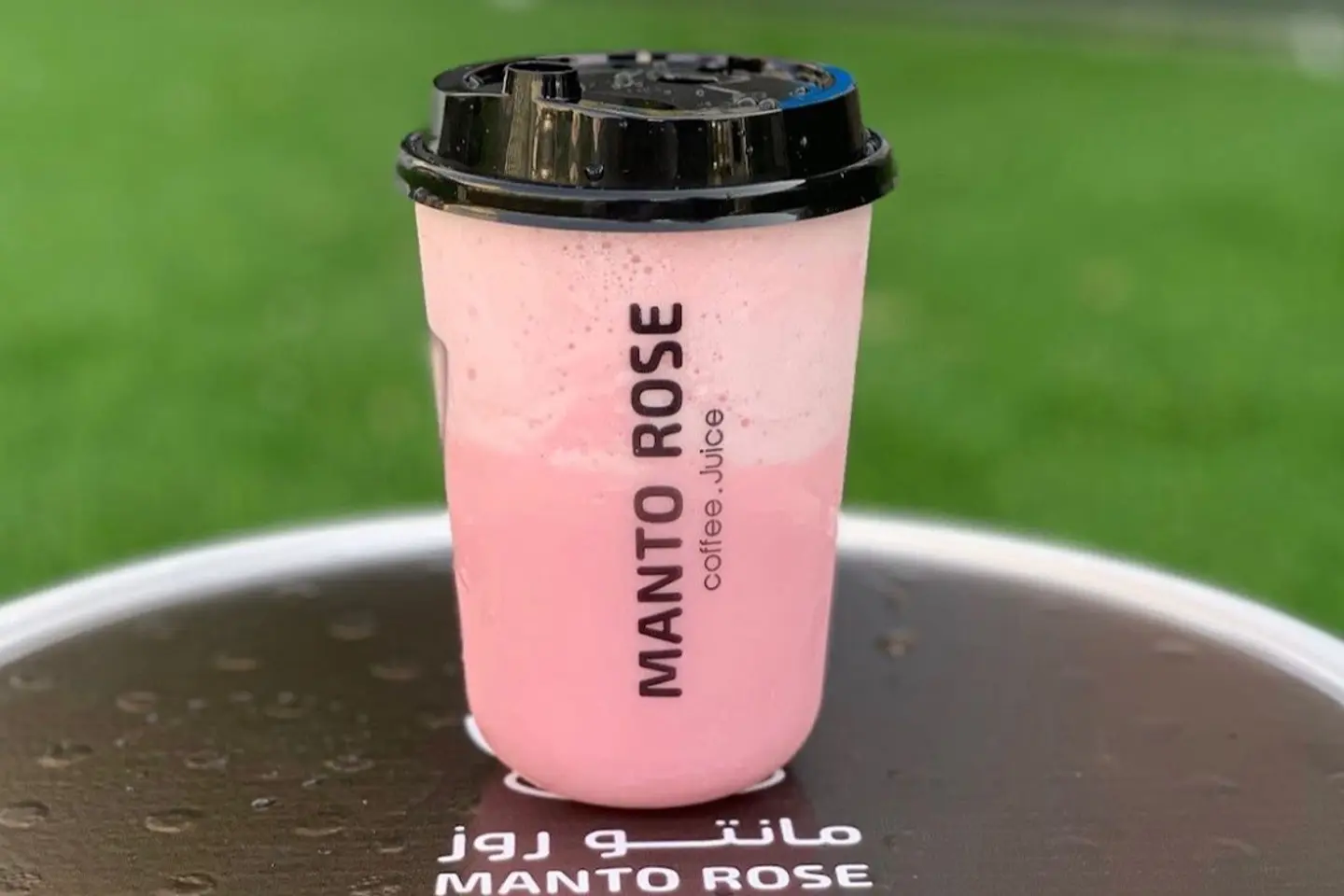 Watermelon Frappe