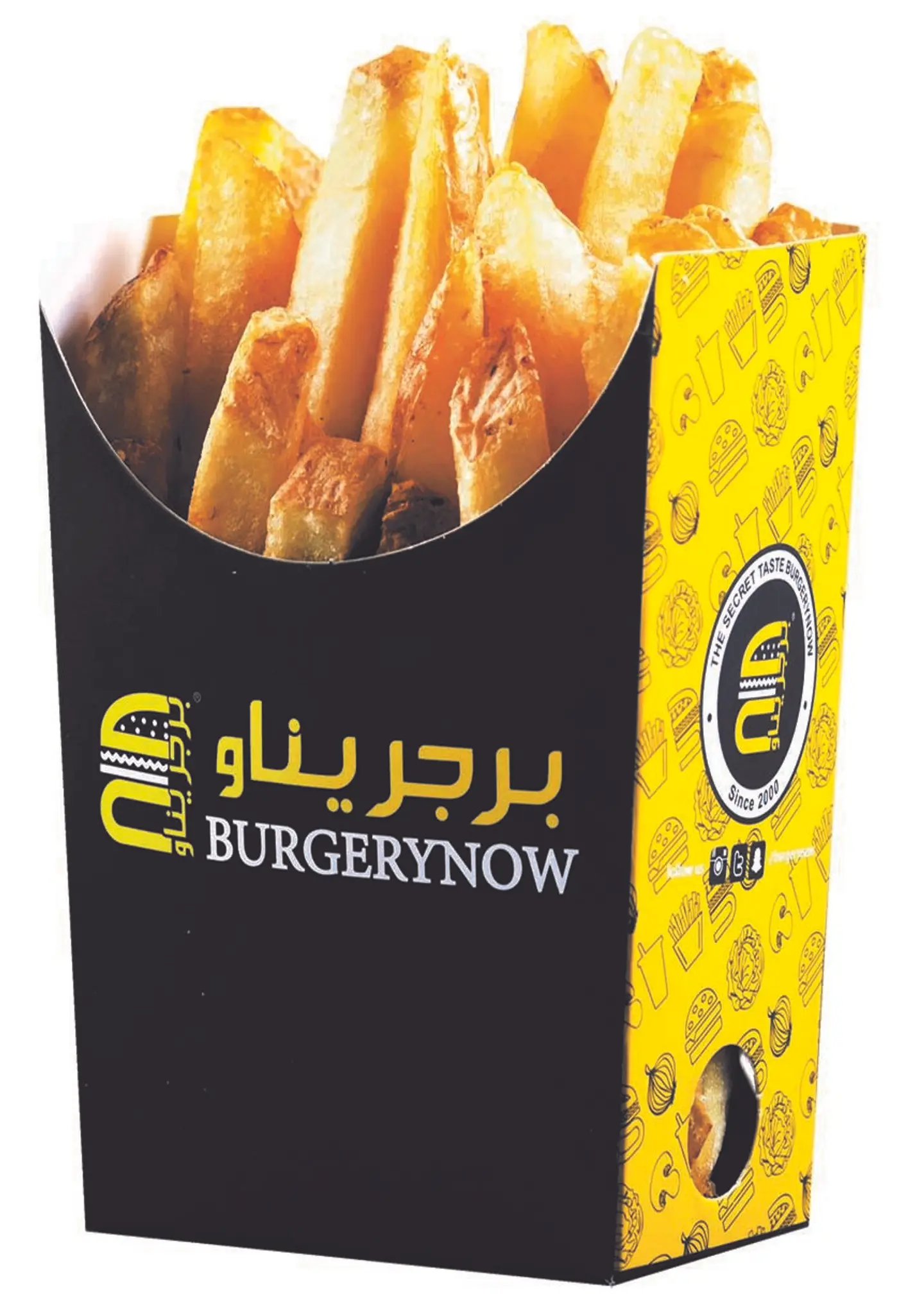 Regular Fries