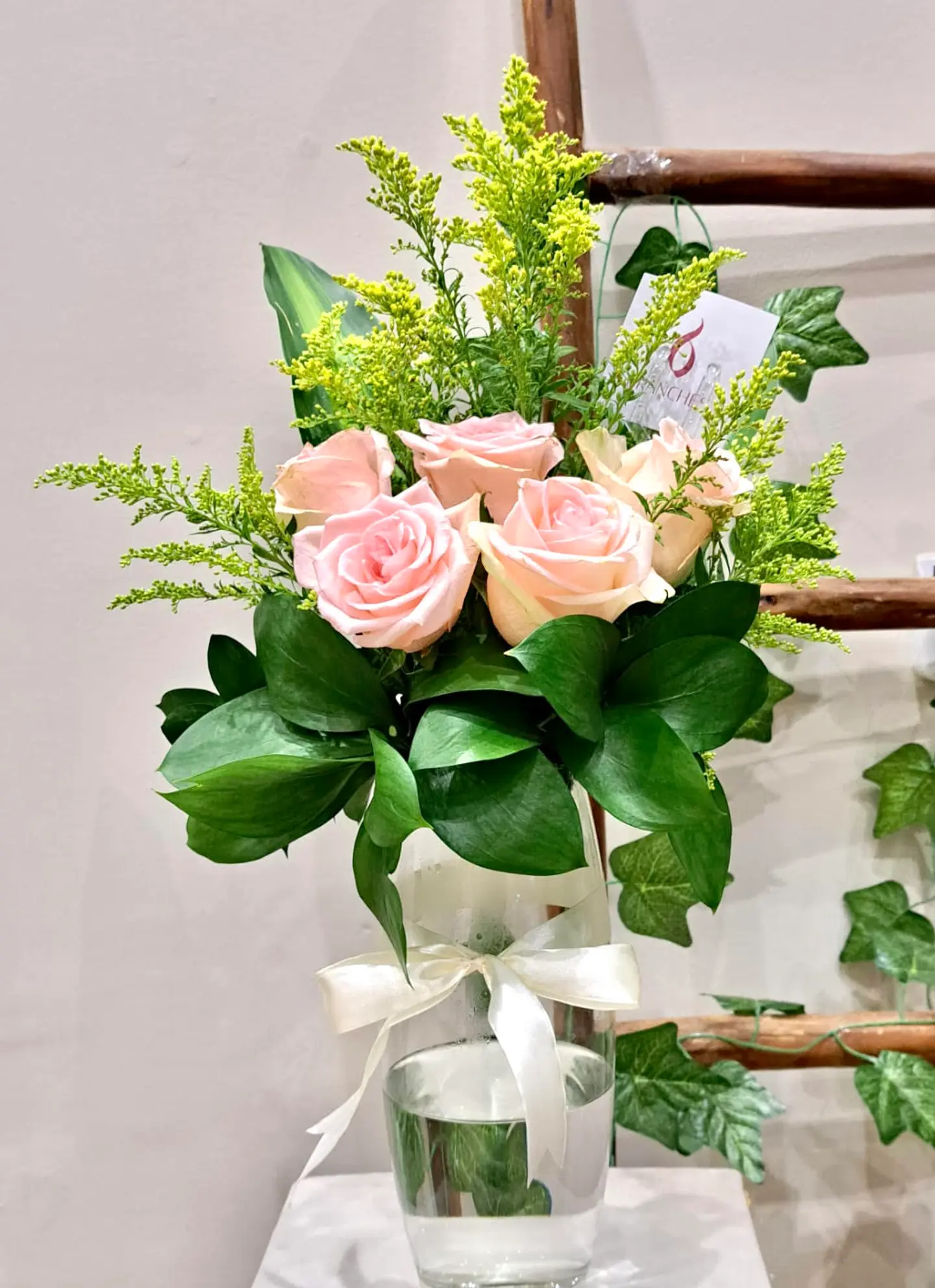 Faza Baby Pink