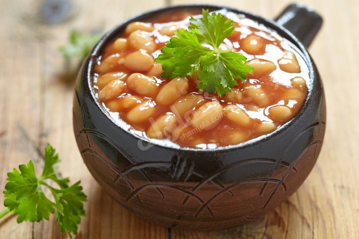 فاصوليا بيضاء