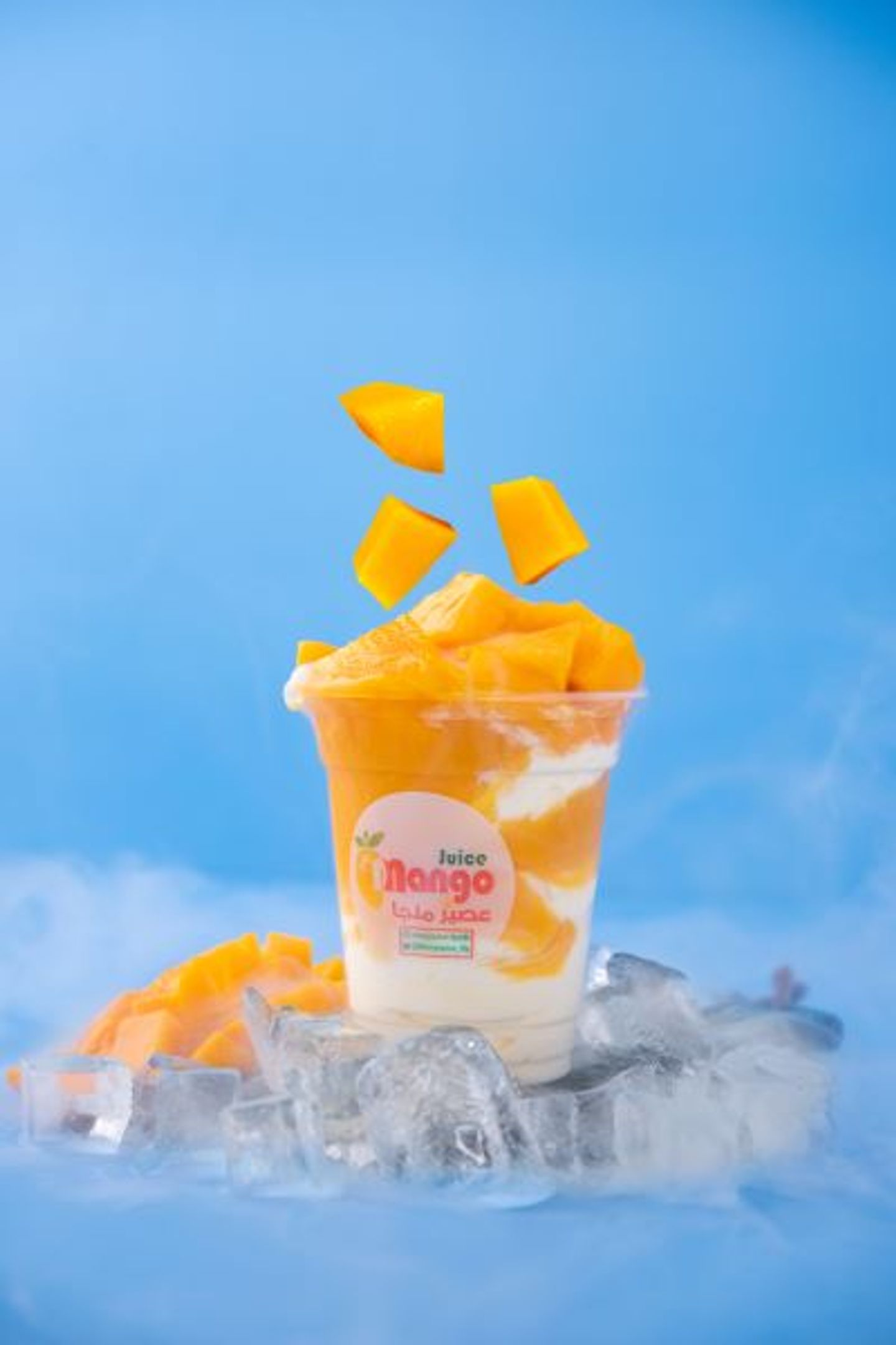 Hokey Pokey Mango Ice Cream - Small