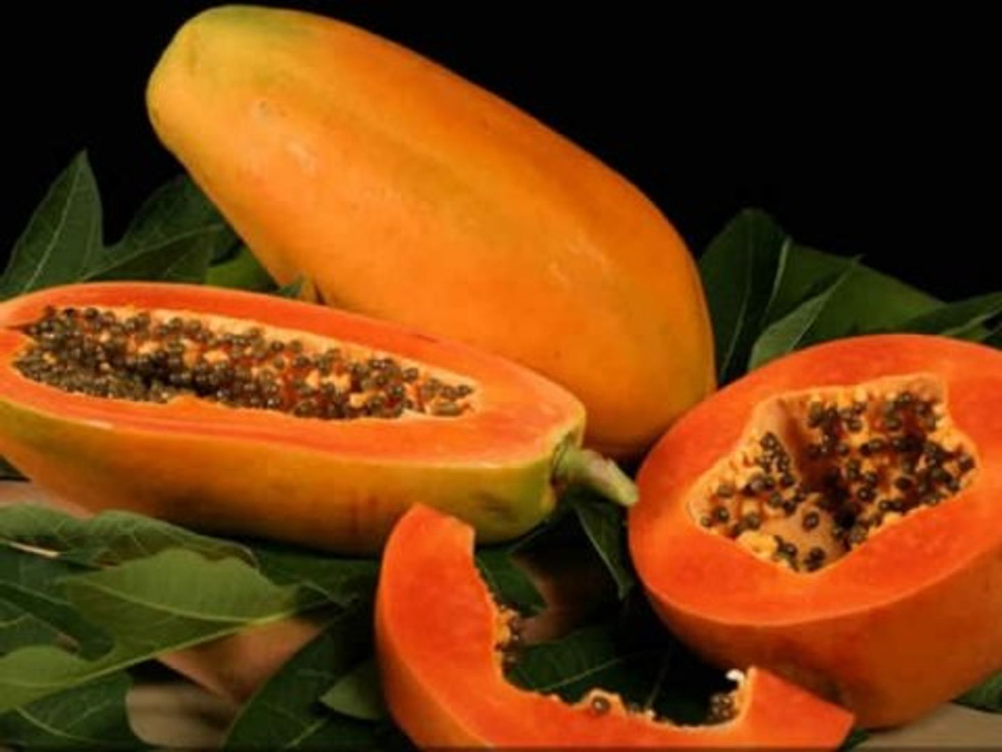 بابايا