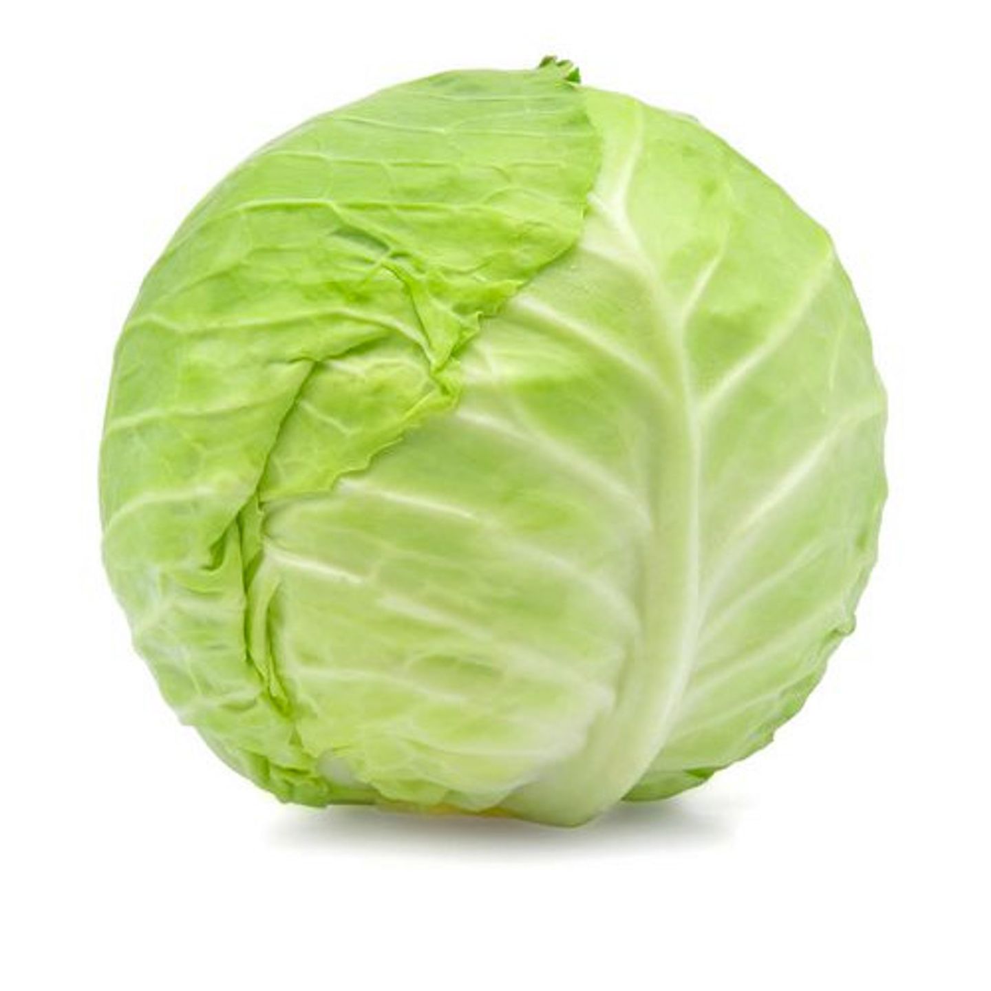 ملفوف اخضر حبة