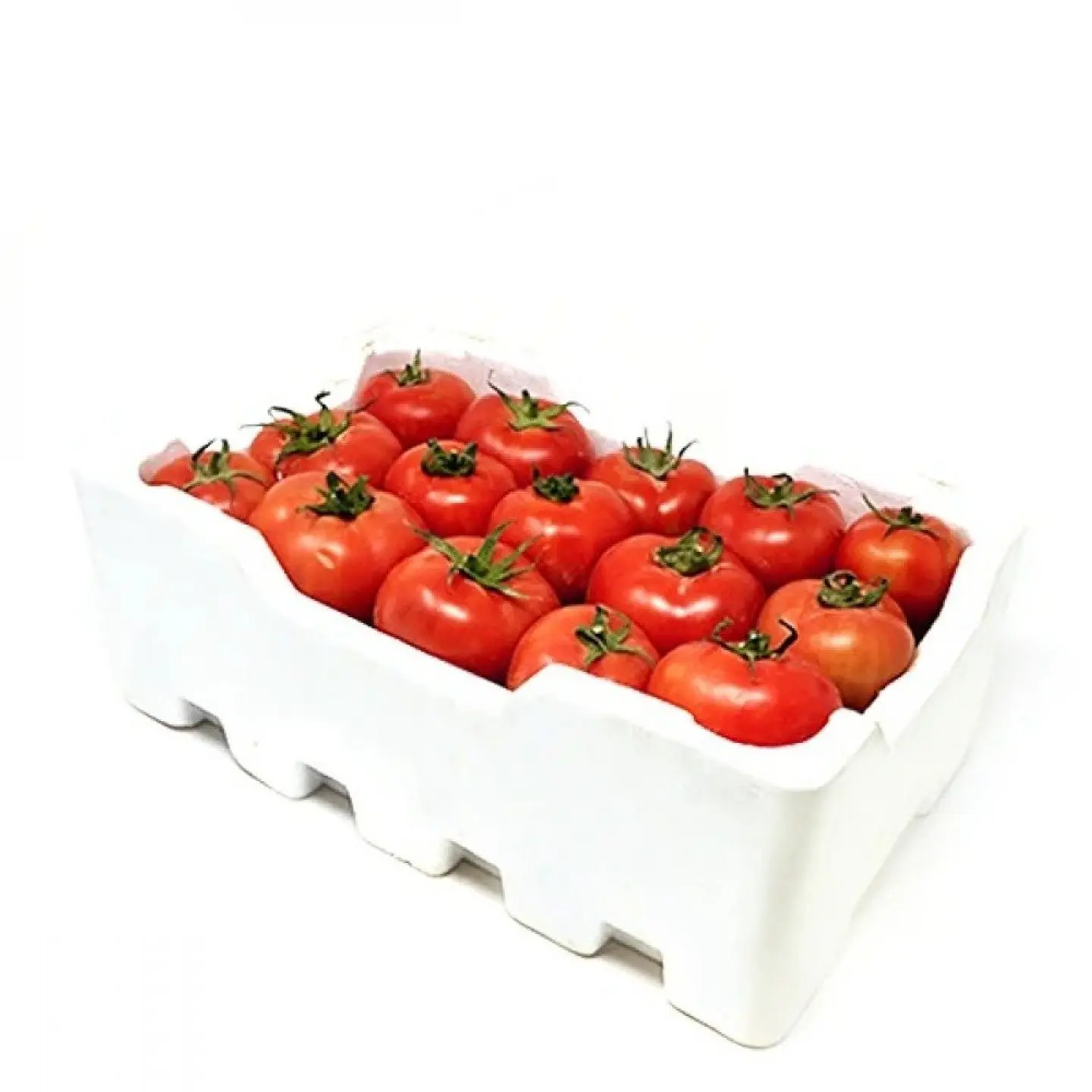 طماطم فلين محمي