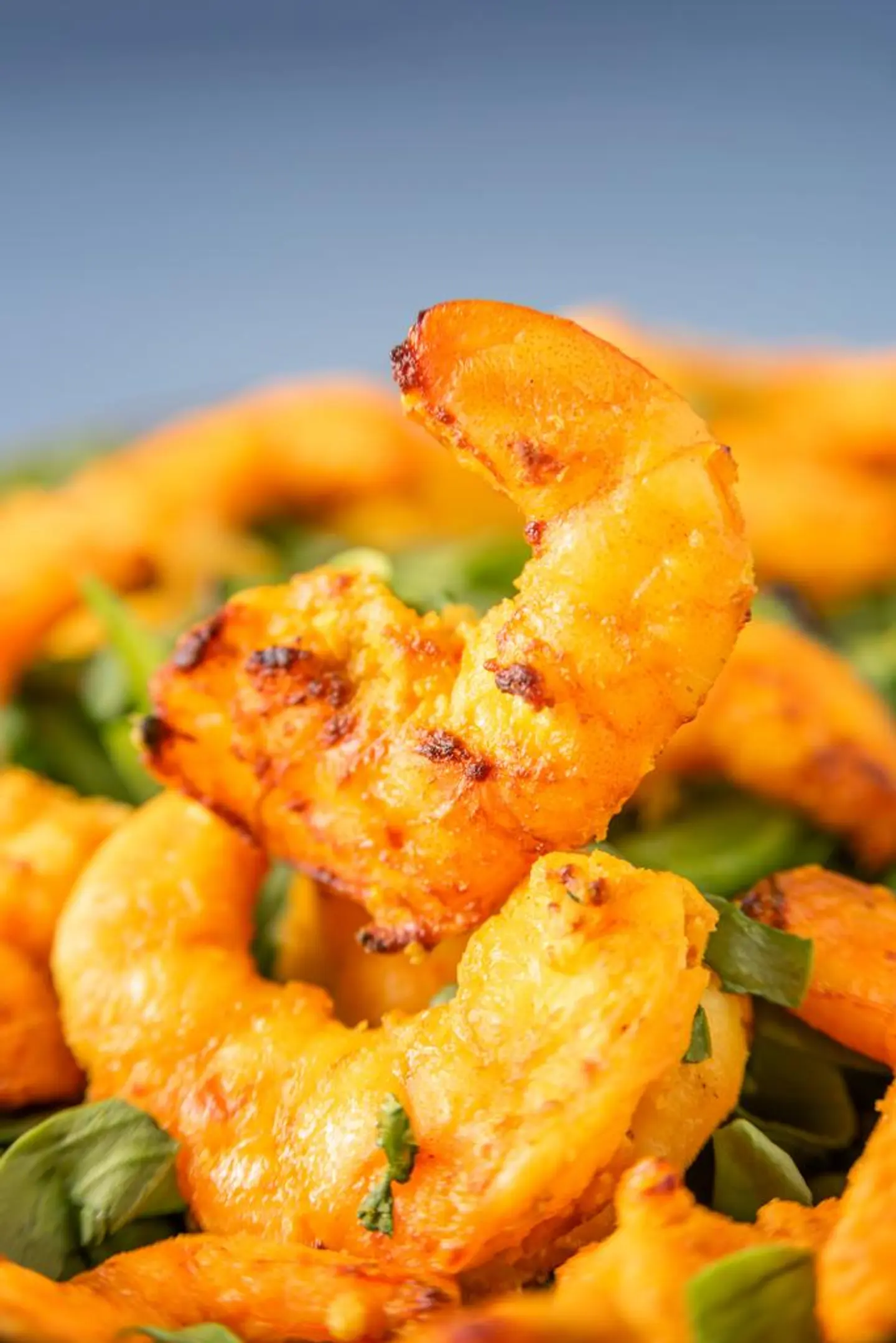 صحن جمبري مشوي جامبو وسط