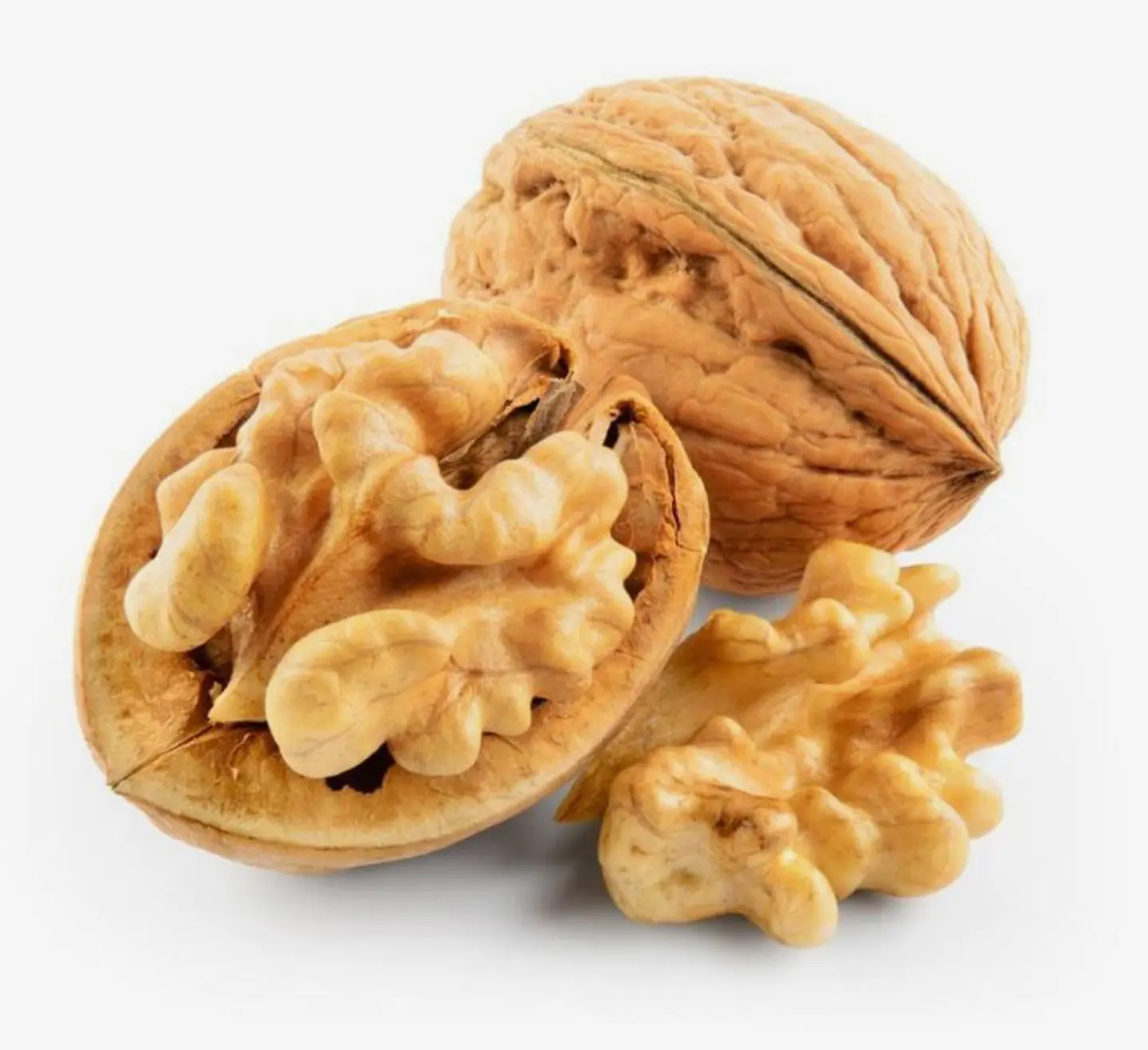 عين الجمل