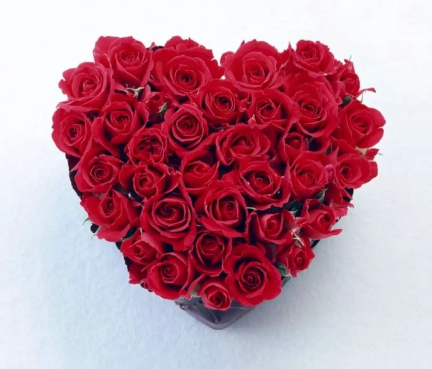 Red Rose Heart