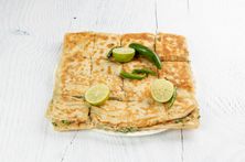 مطبق درع المصيف
