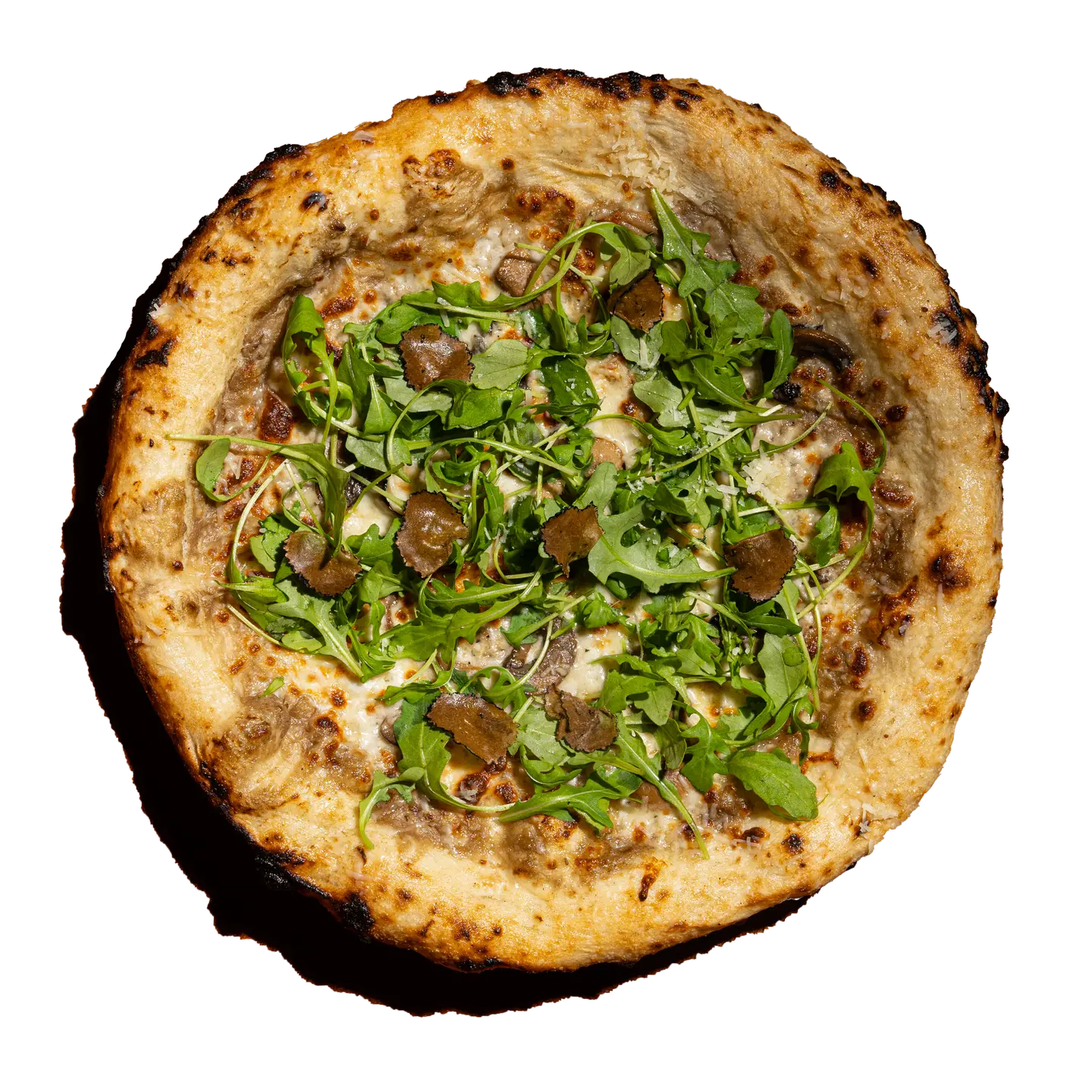 Truffle Pizza - Medium