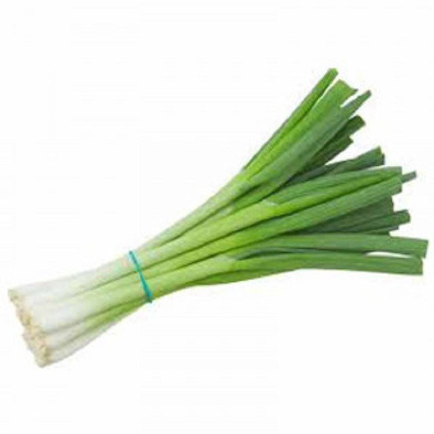 بصل اخضر (ربطة)