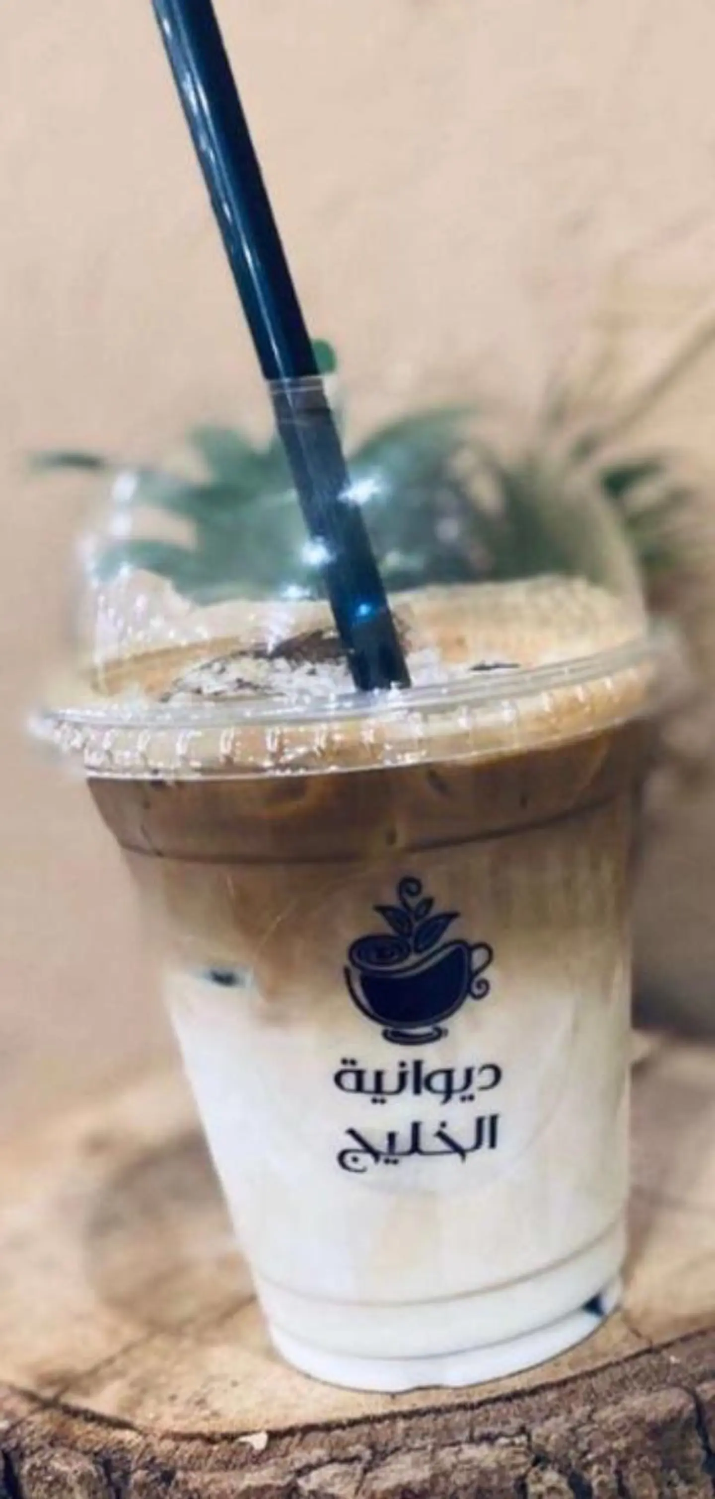Cold Spanish Latte