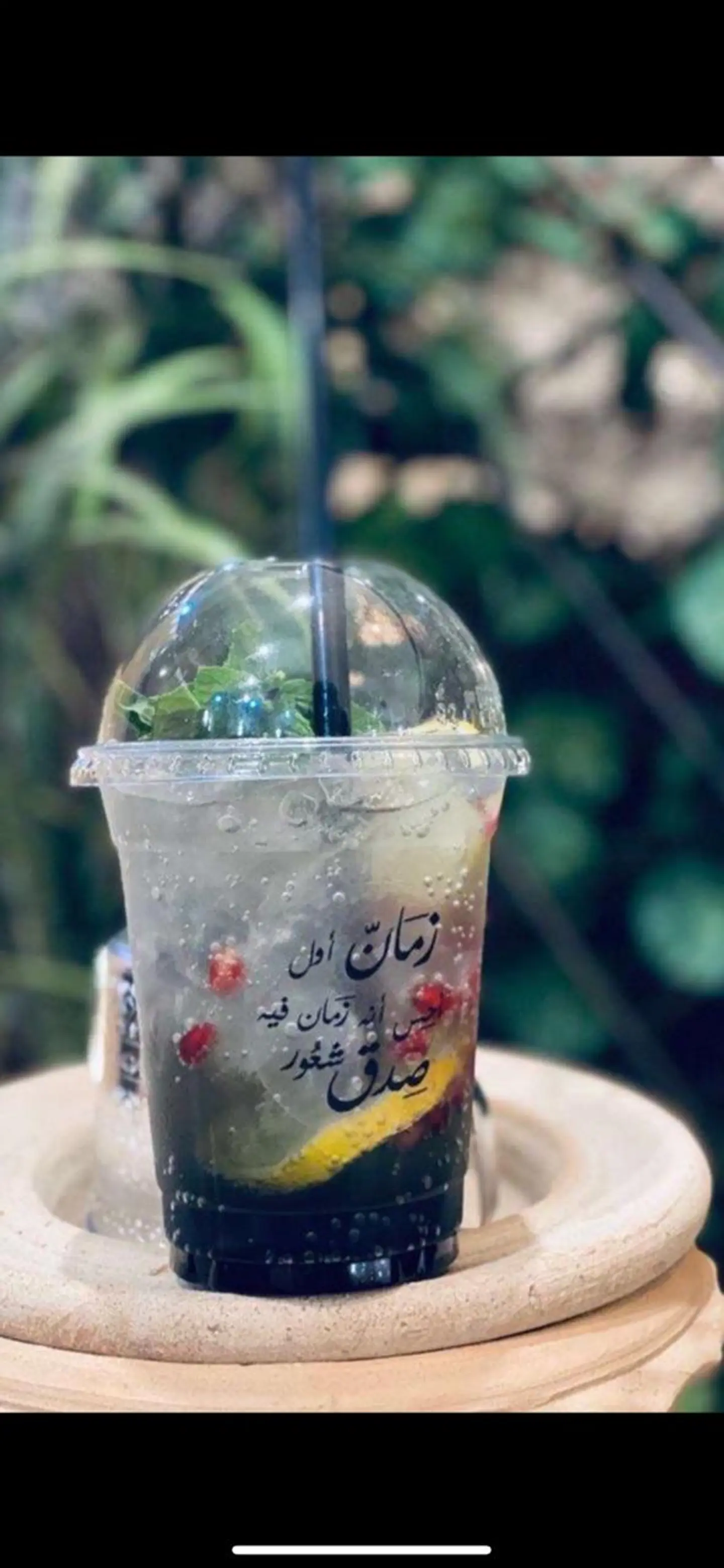 Pomegranate Mojito