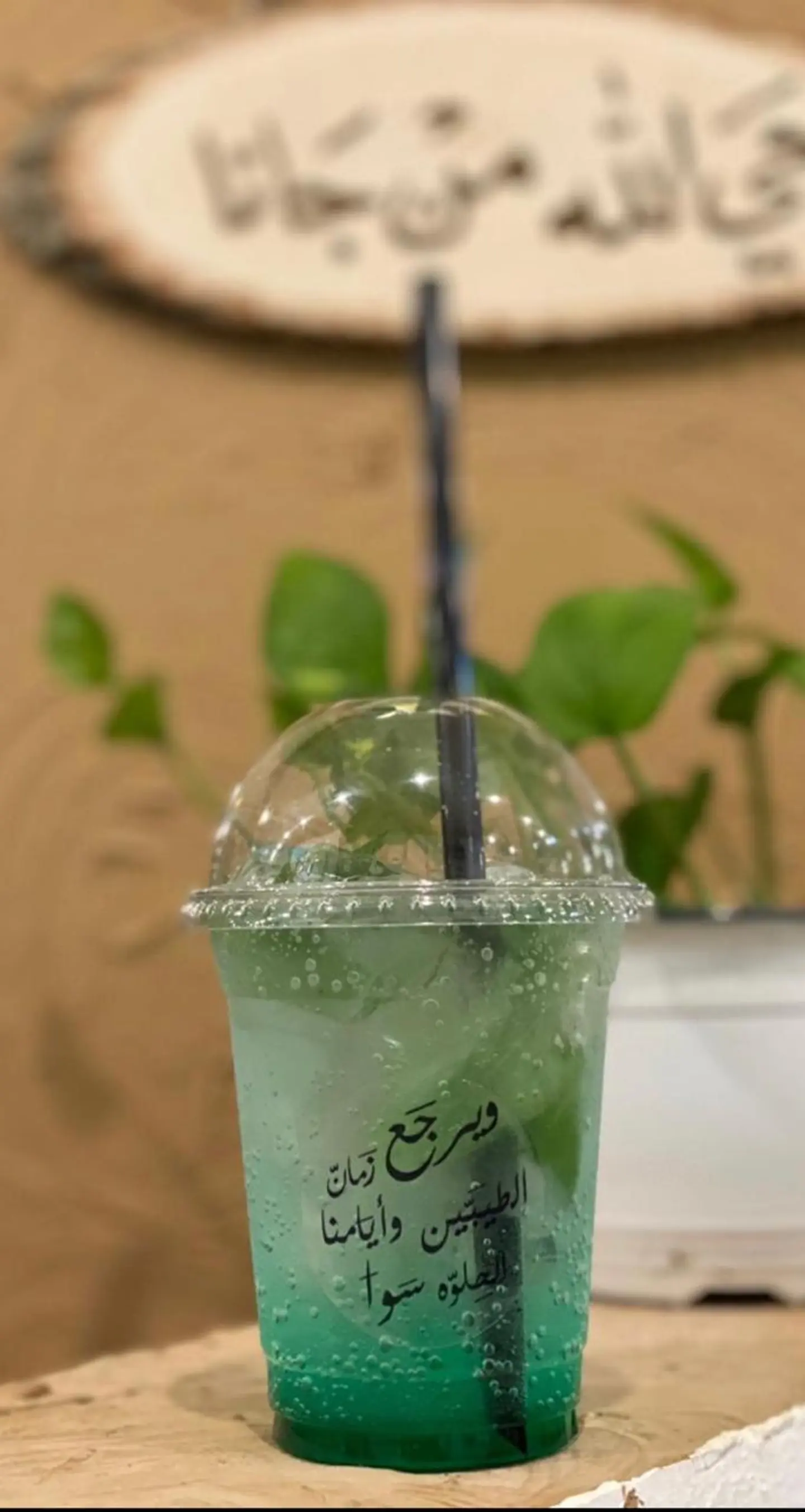 Lemon Mint Mojito