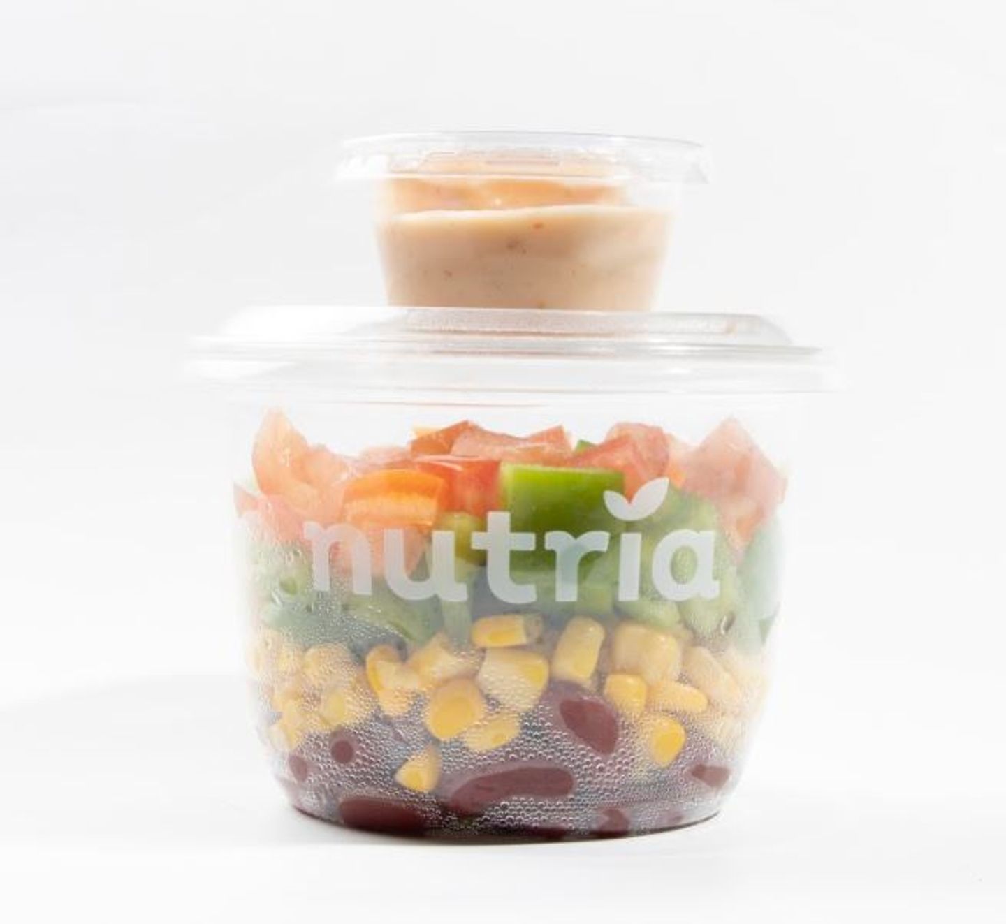 Beans Salad