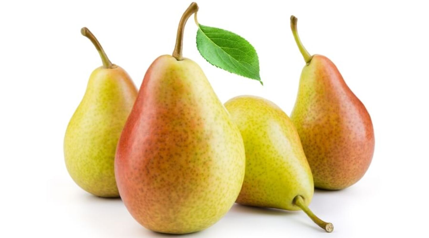 كمثرى كبيرة