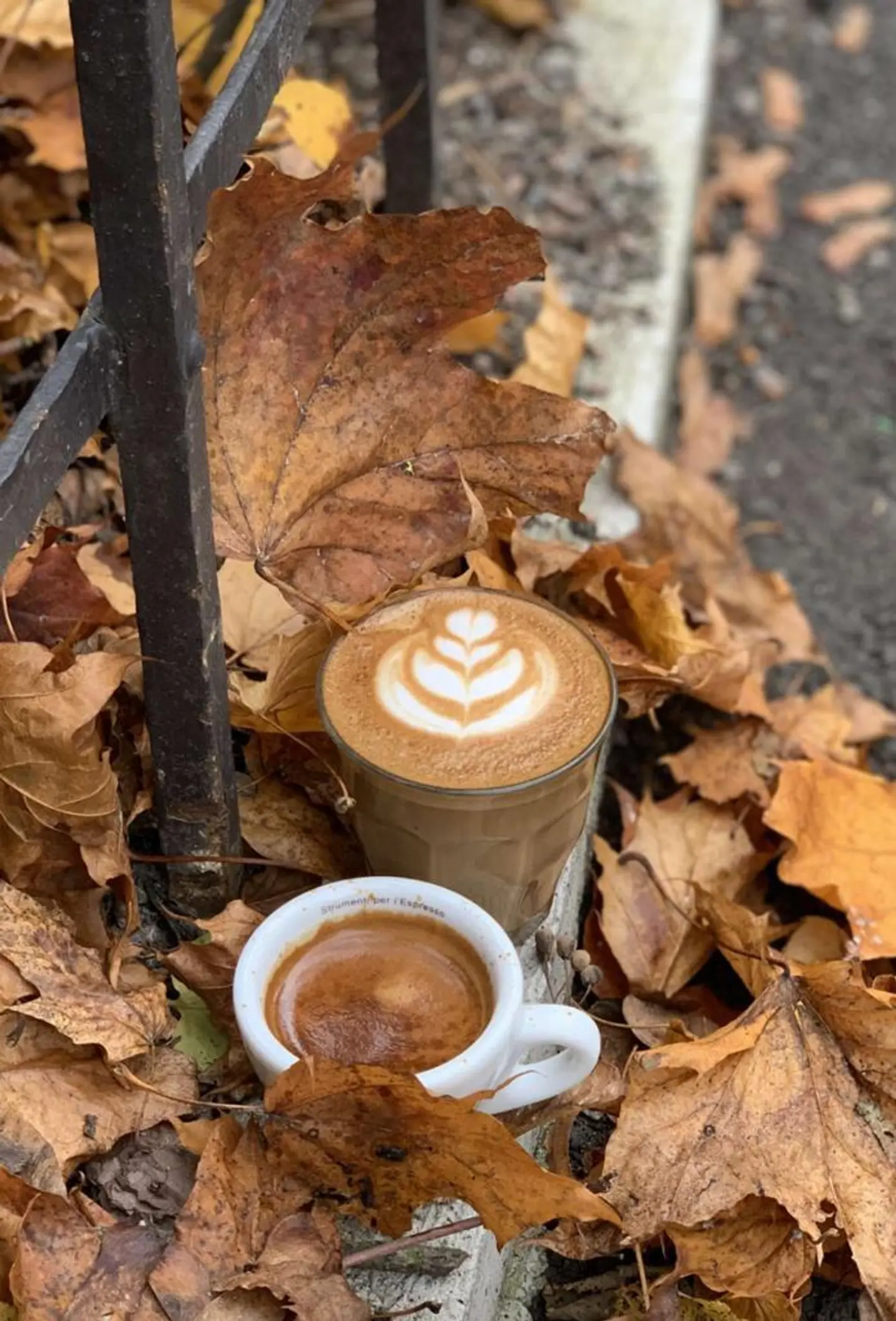 Cortado