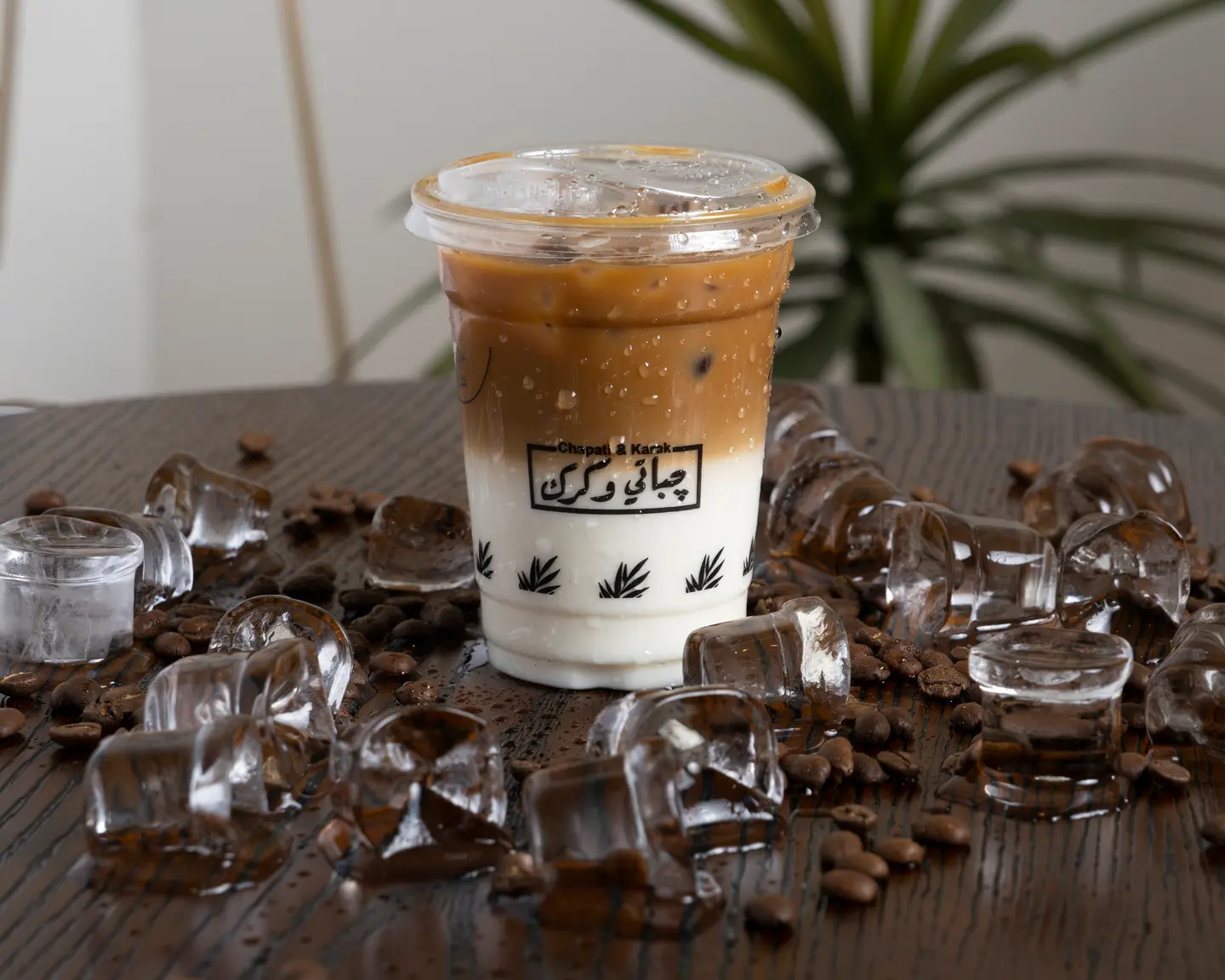 Iced Mocha Chocolate