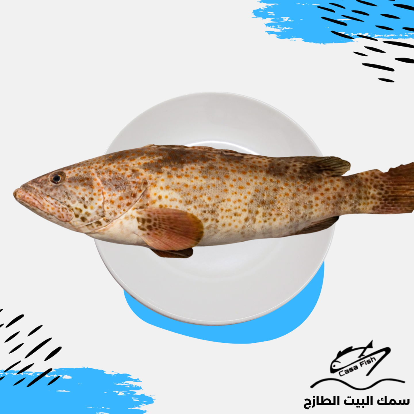 وجبة هامور